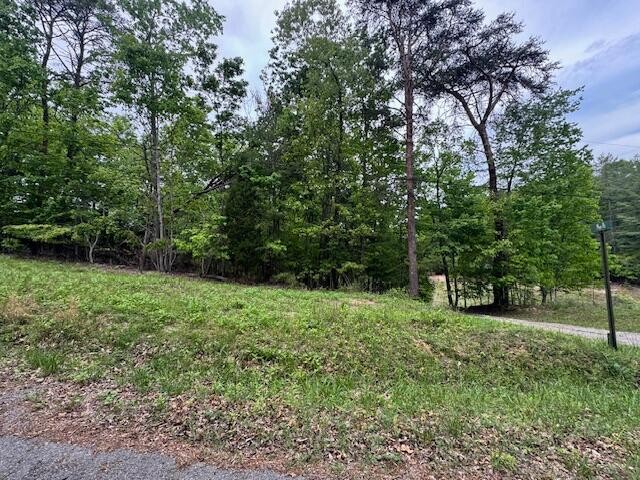 0 Maple Drive Property Photo