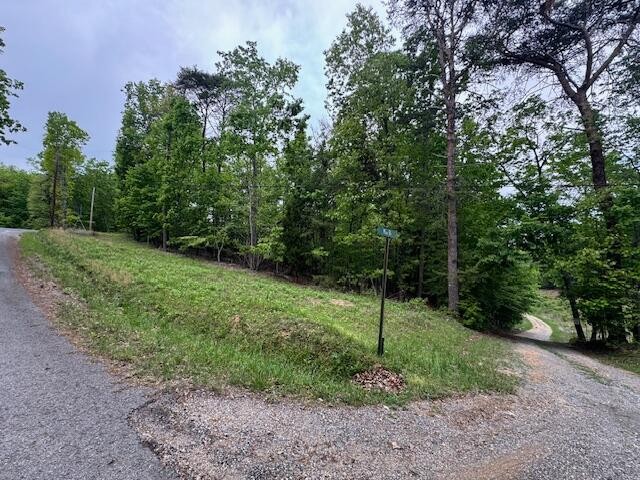 0 Maple Drive Property Photo 2