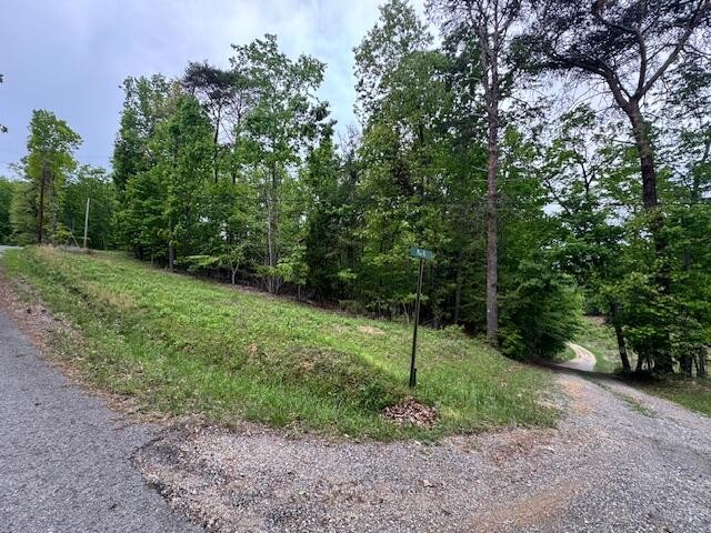 0 Maple Drive Property Photo 3