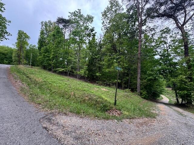 0 Maple Drive Property Photo 5