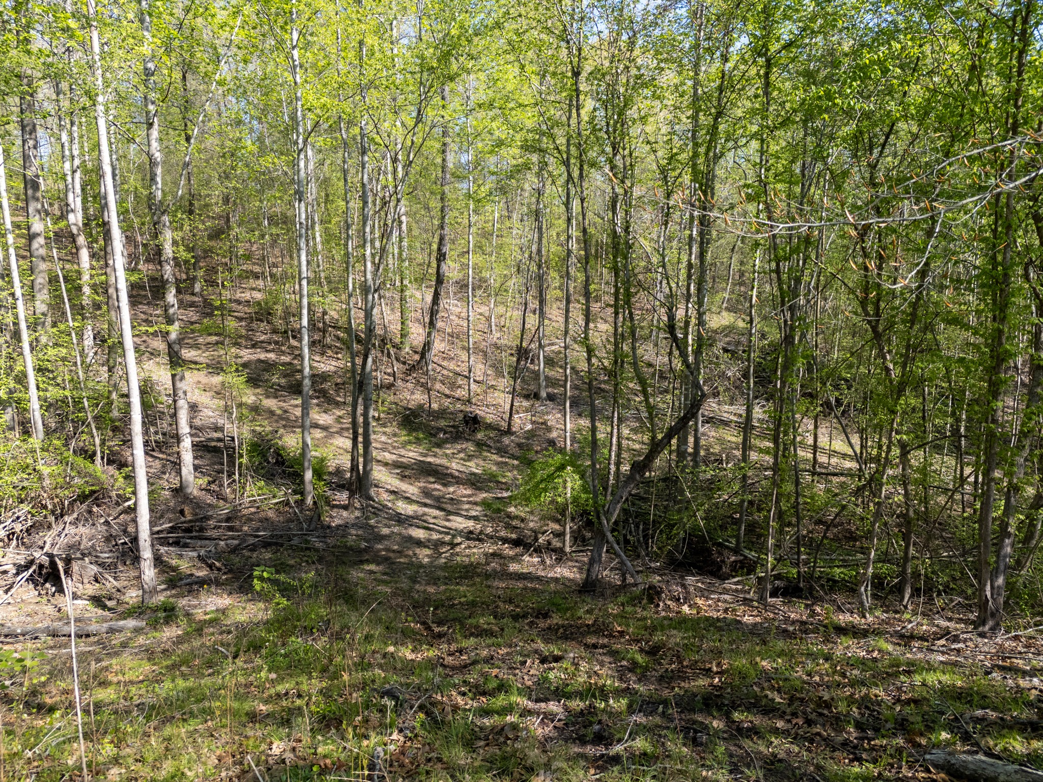 0 Guy Hart Rd Property Photo 1