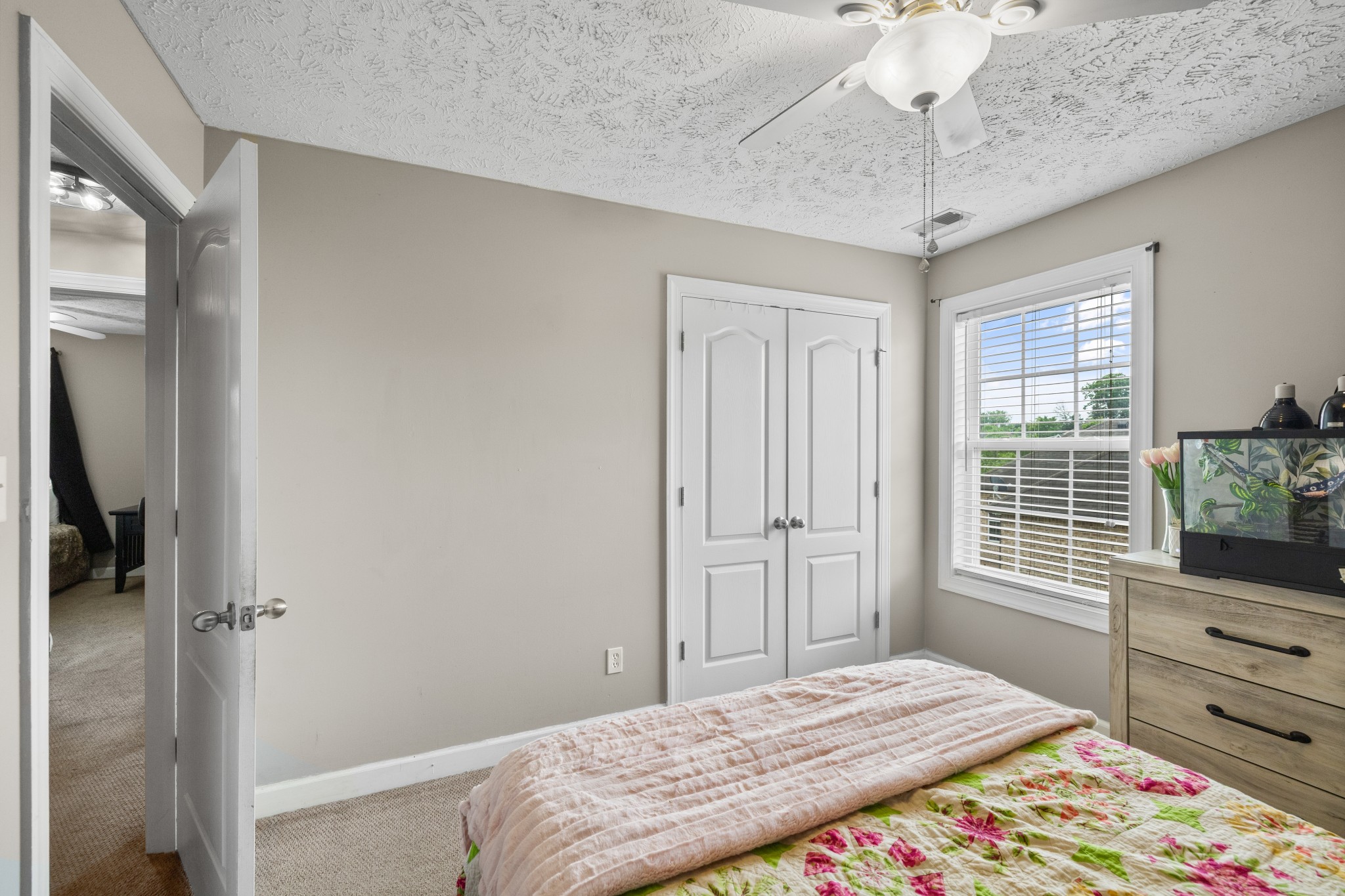 1133 Remuda Cir Property Photo 34