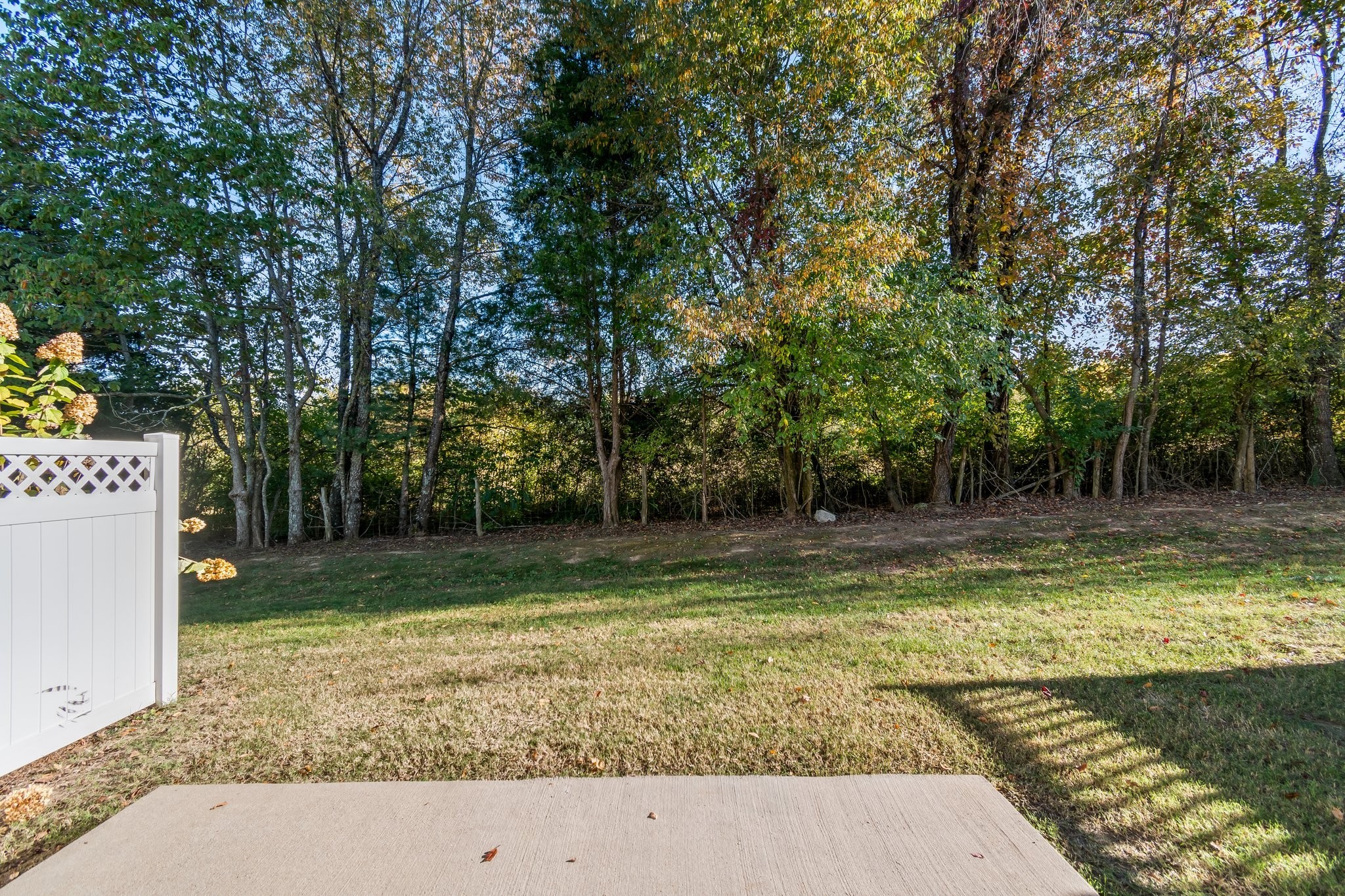 1041 Irish Way Property Photo 10