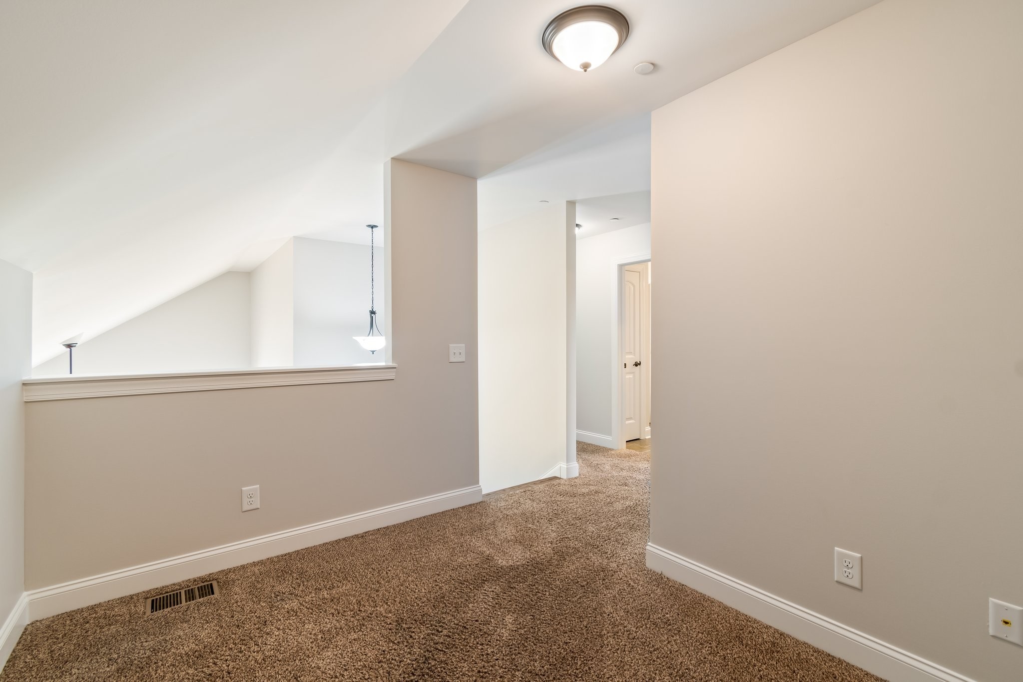 1041 Irish Way Property Photo 25