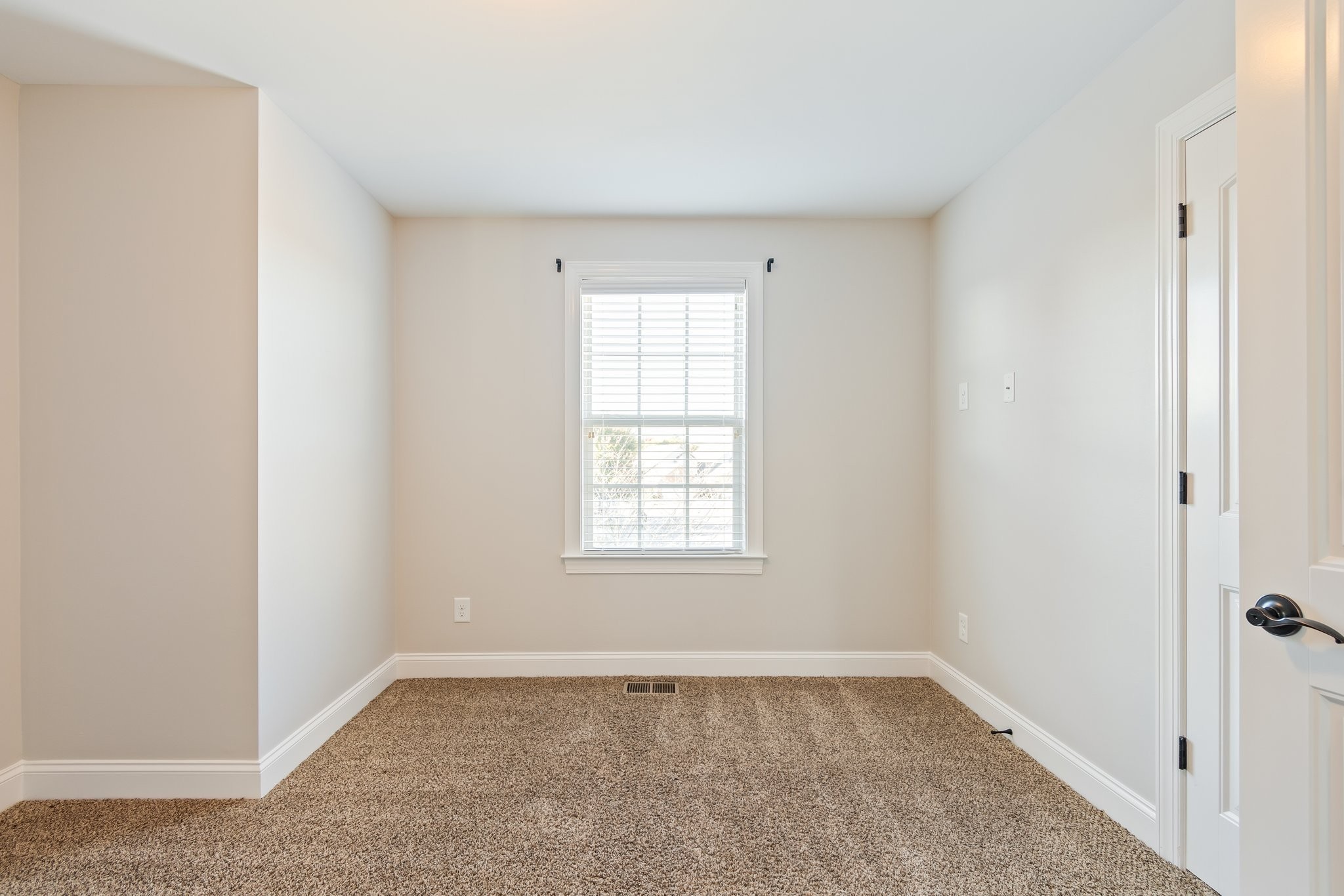 1041 Irish Way Property Photo 28
