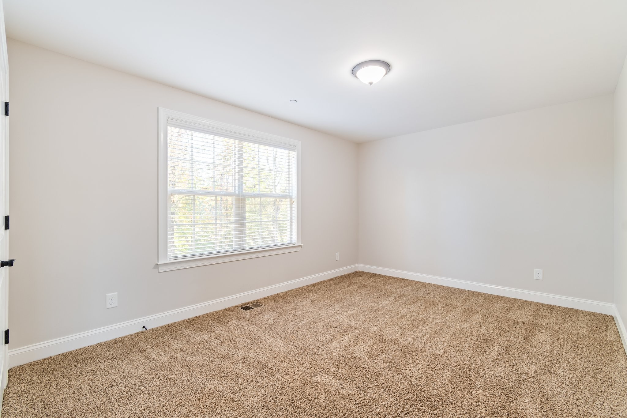1041 Irish Way Property Photo 33