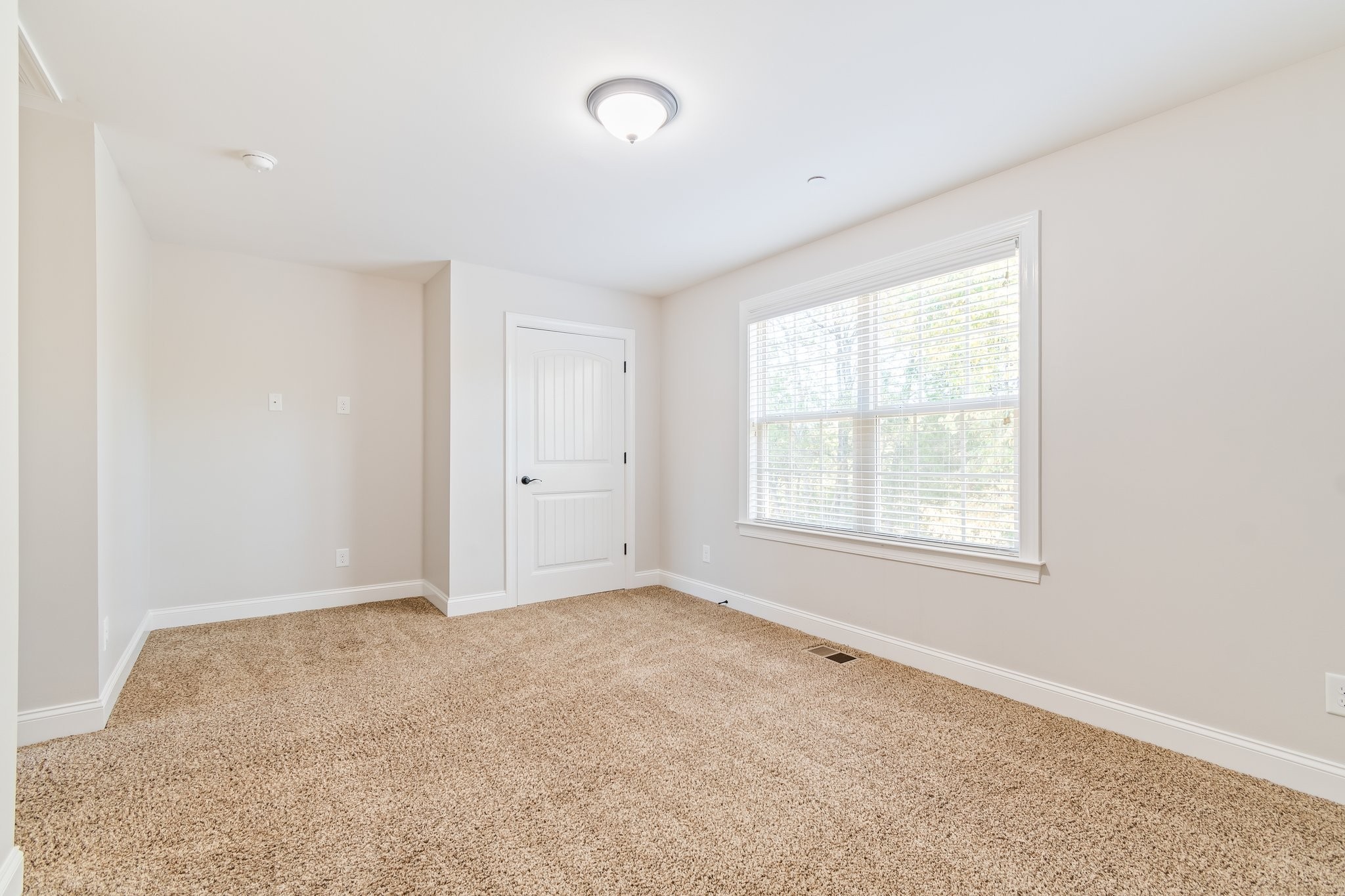 1041 Irish Way Property Photo 34