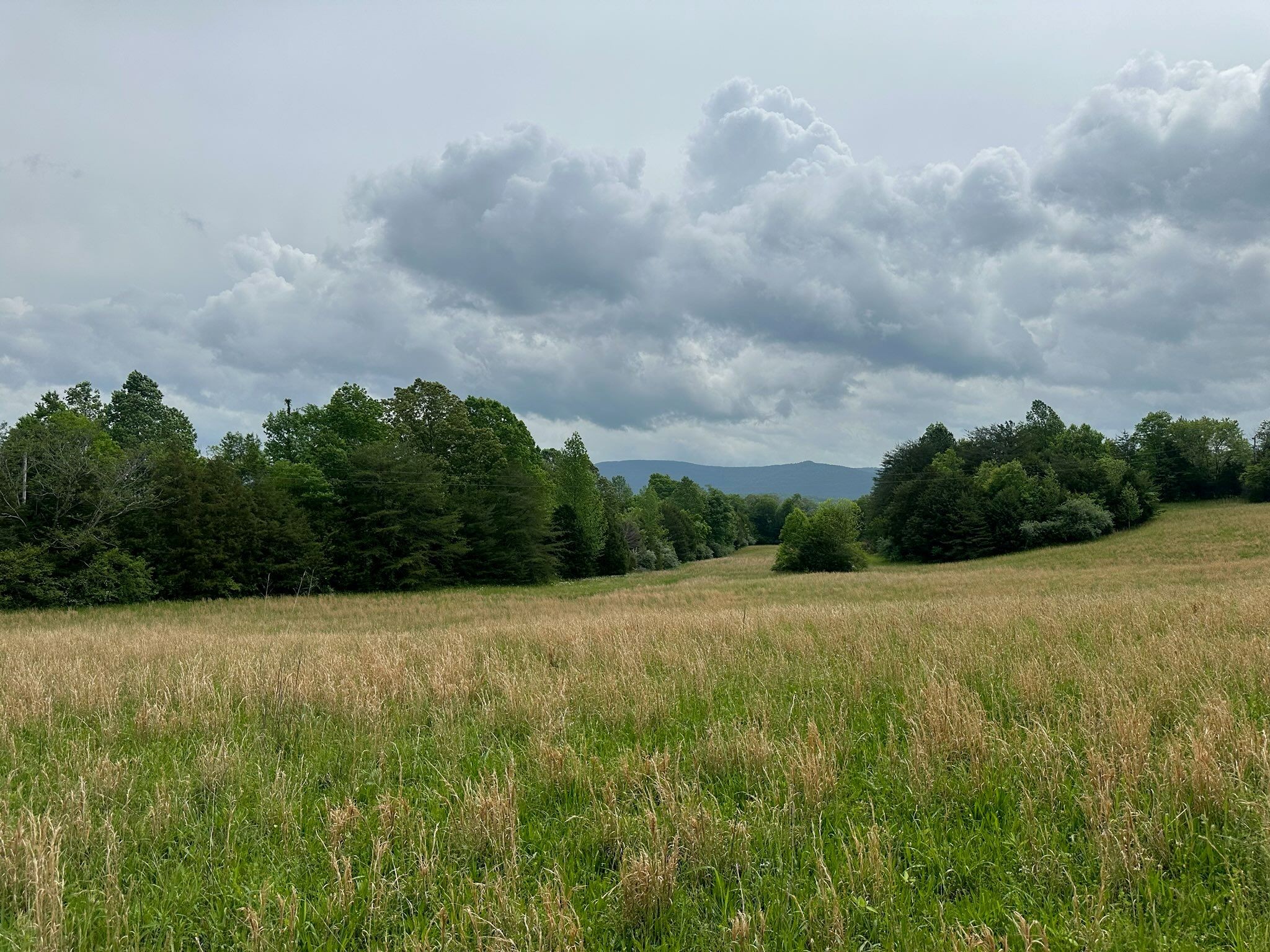 Bledsoe County County Real Estate Listings Main Image