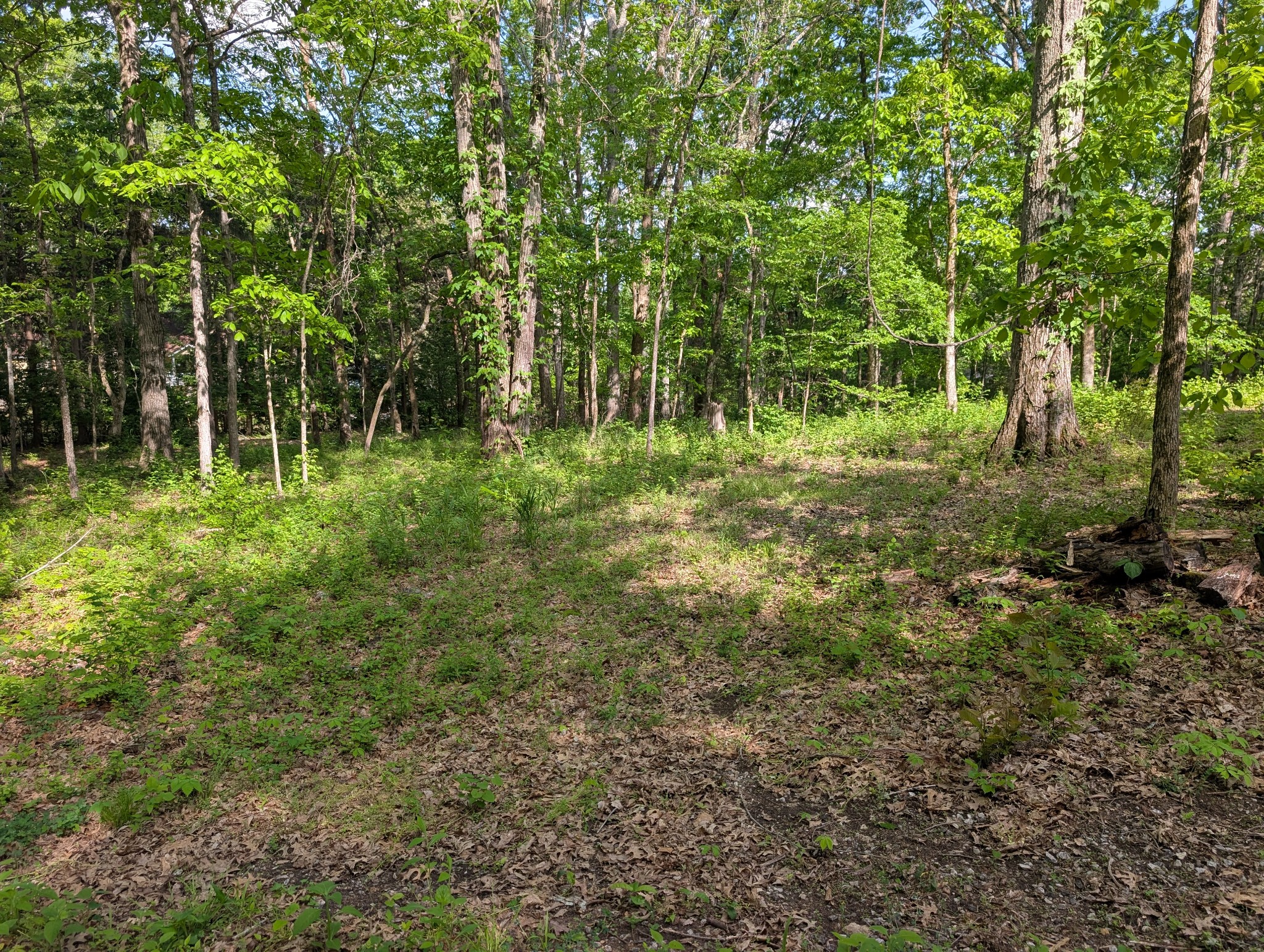 0 Bluff Road Property Photo