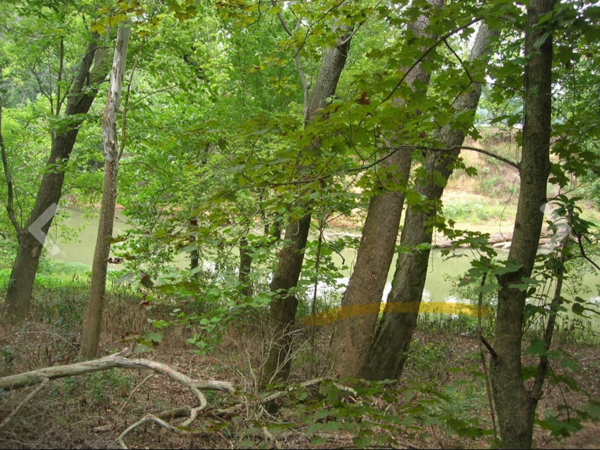 5 Ford Rd Property Photo