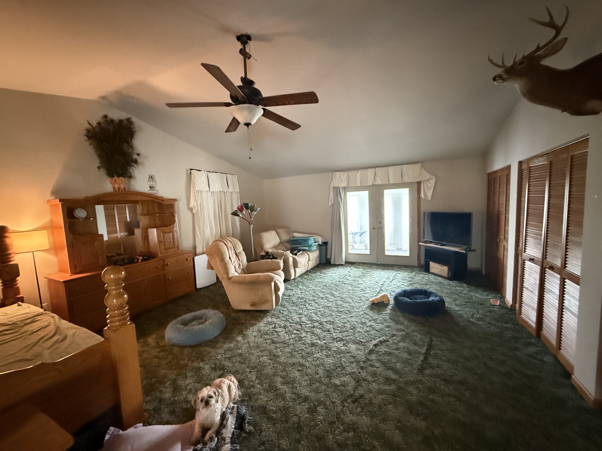 5 Carol Rd Property Photo 25