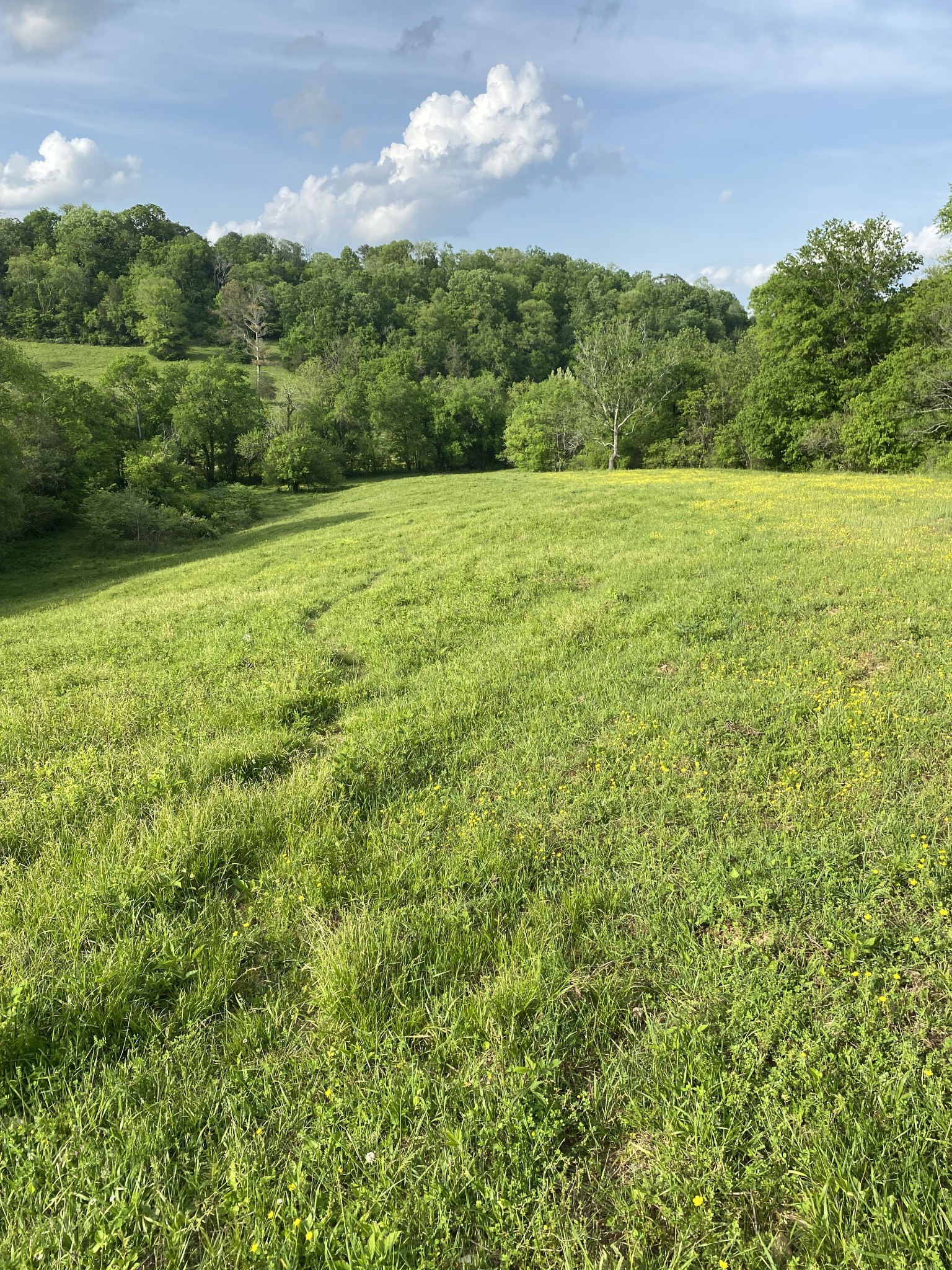 0 Ables Ln Property Photo