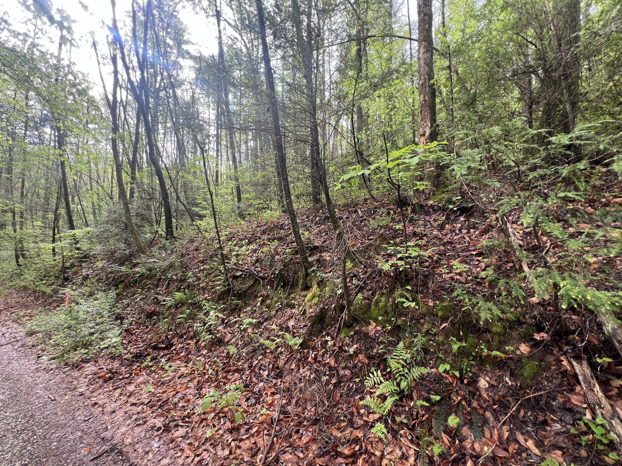 111 Bear Den Trl Property Photo 1