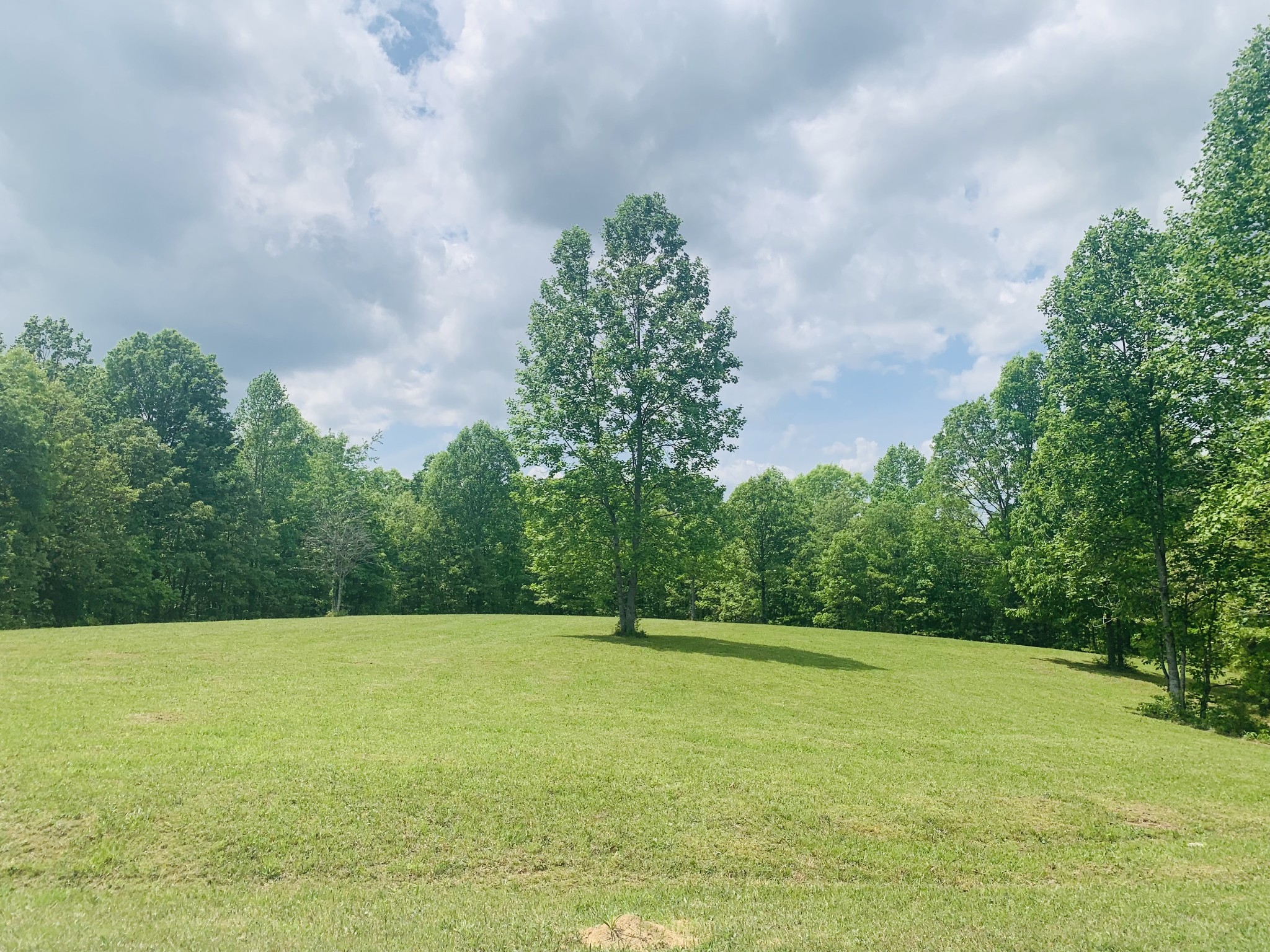 Lewis County | Tn Real Estate Listings Main Image