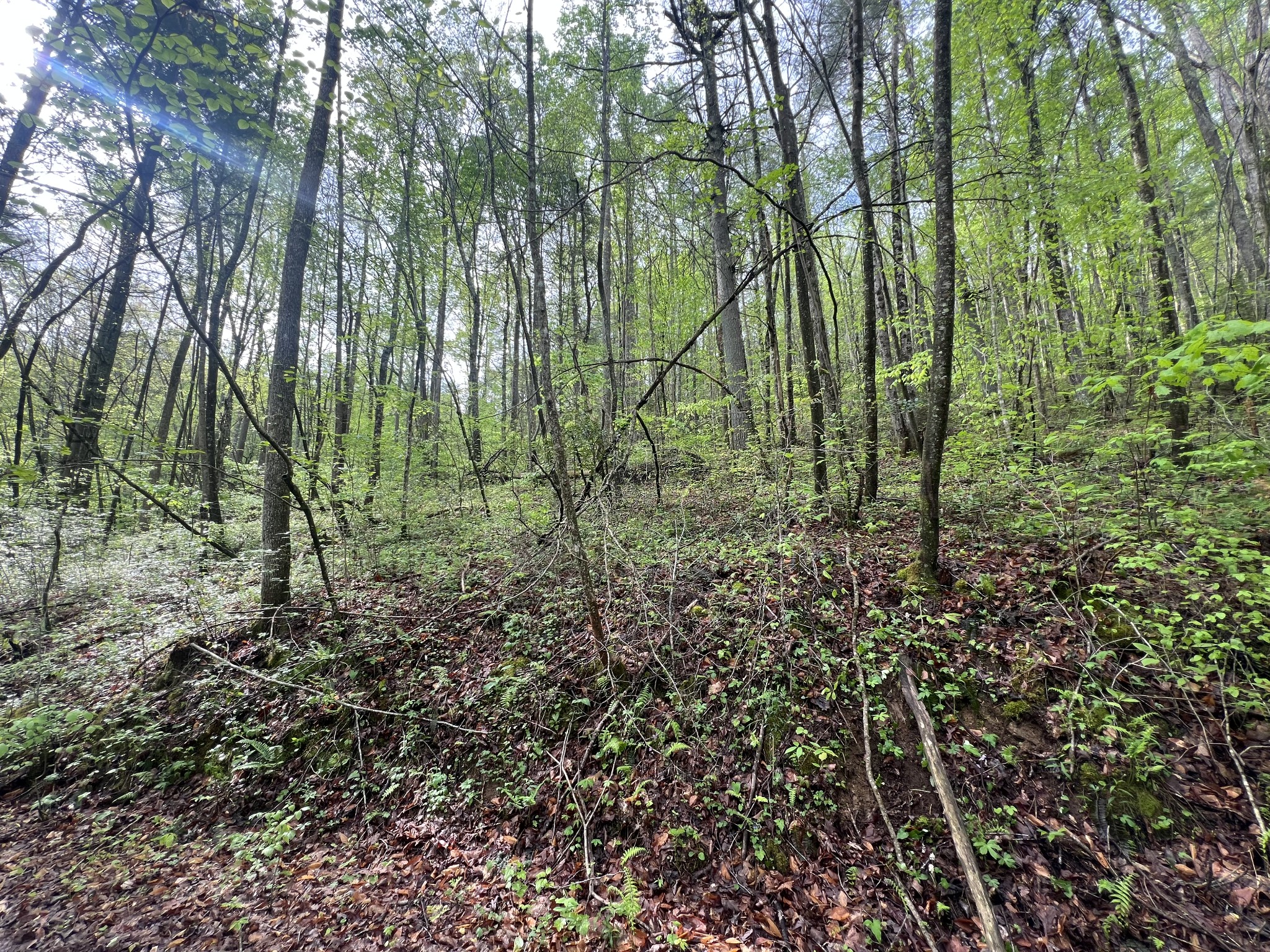 112 Bear Den Trl Property Photo 1