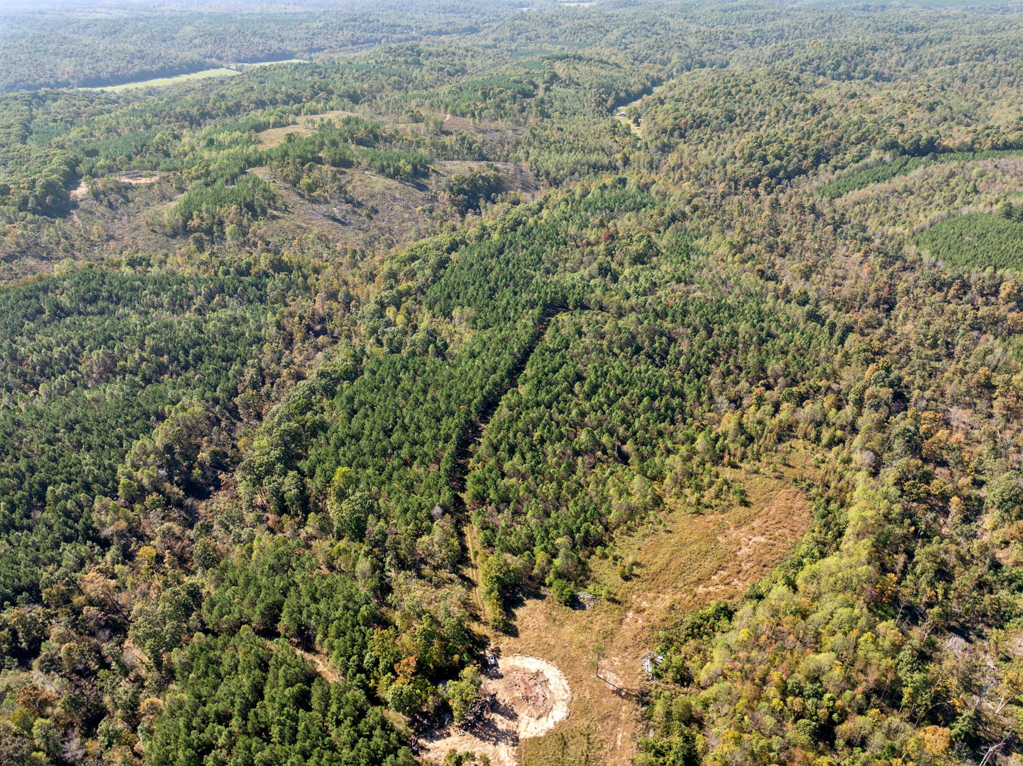 0 Cox Hollow Rd Property Photo 1