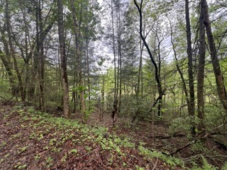153 Bear Den Trl Property Photo 1