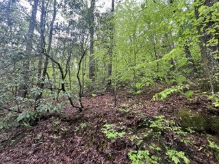 139 Bear Den Trl Property Photo 1
