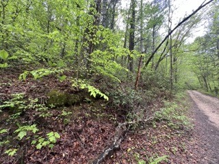 139 Bear Den Trl Property Photo 2