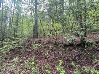 139 Bear Den Trl Property Photo 3