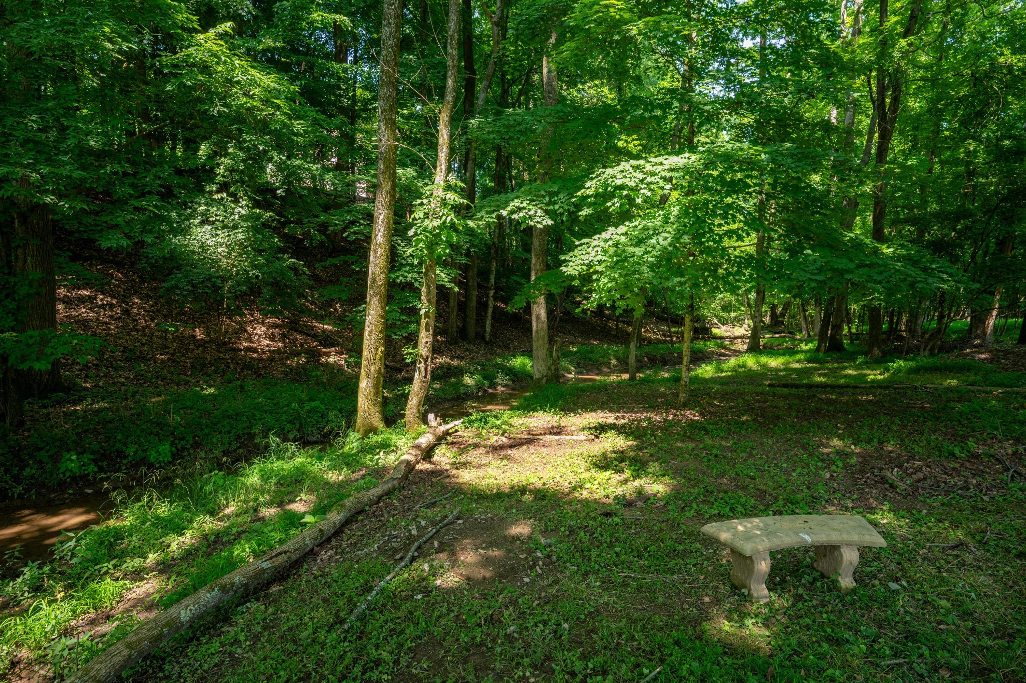1212 Lake Rise Overlook Property Photo 37