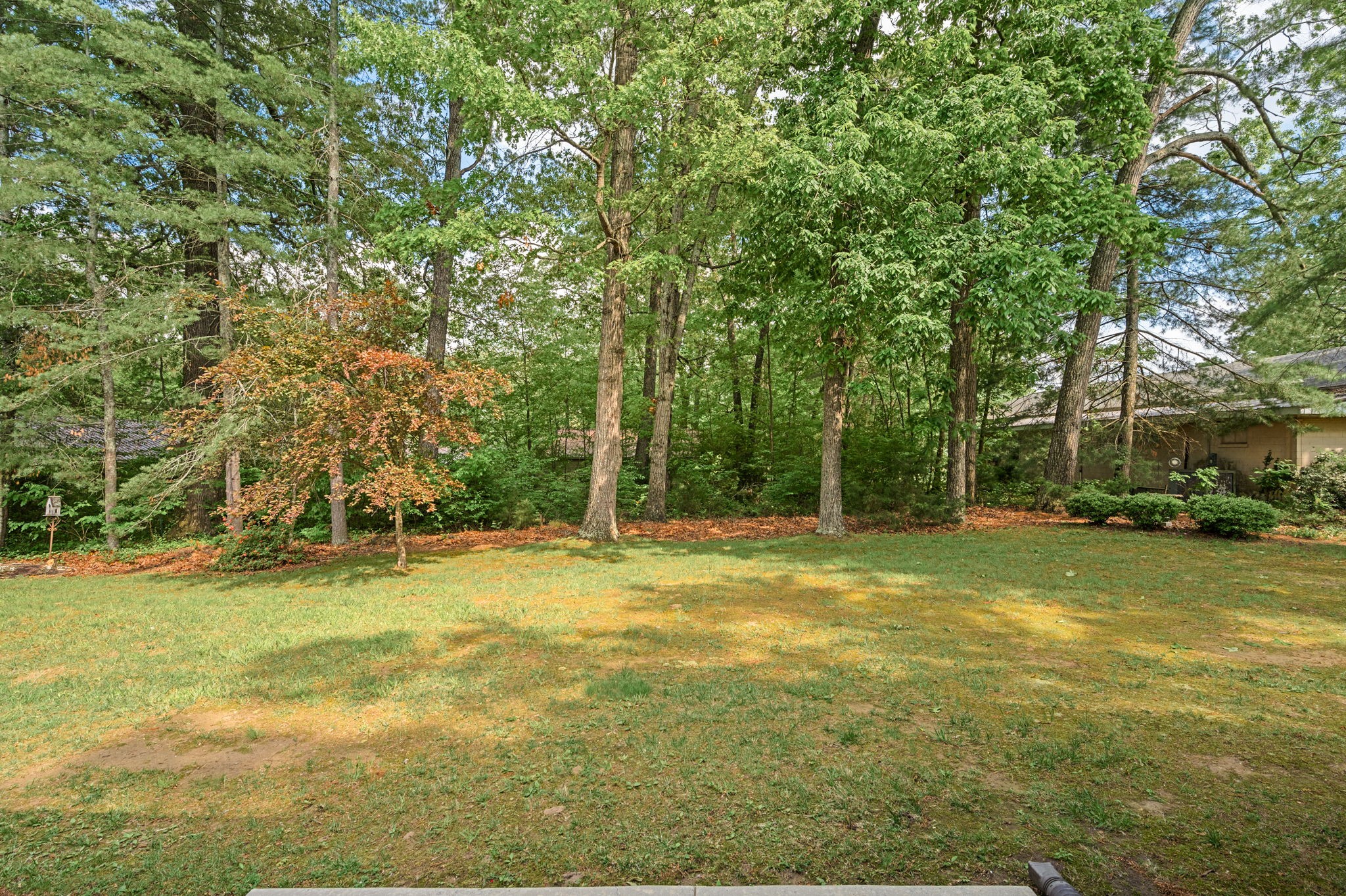 806 Forrest Dr Property Photo 37