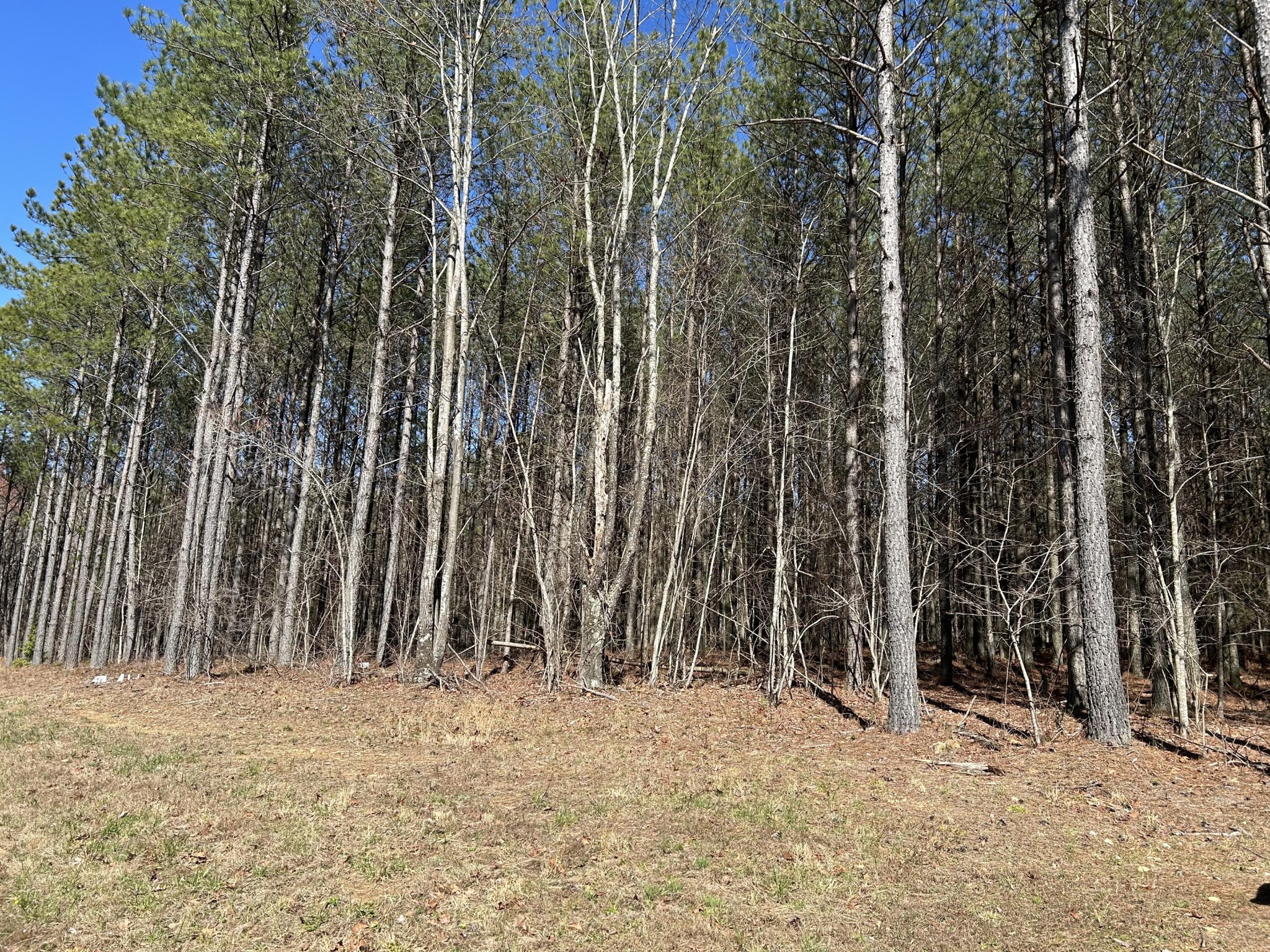 4210 Raulston Fls Road Property Photo 4