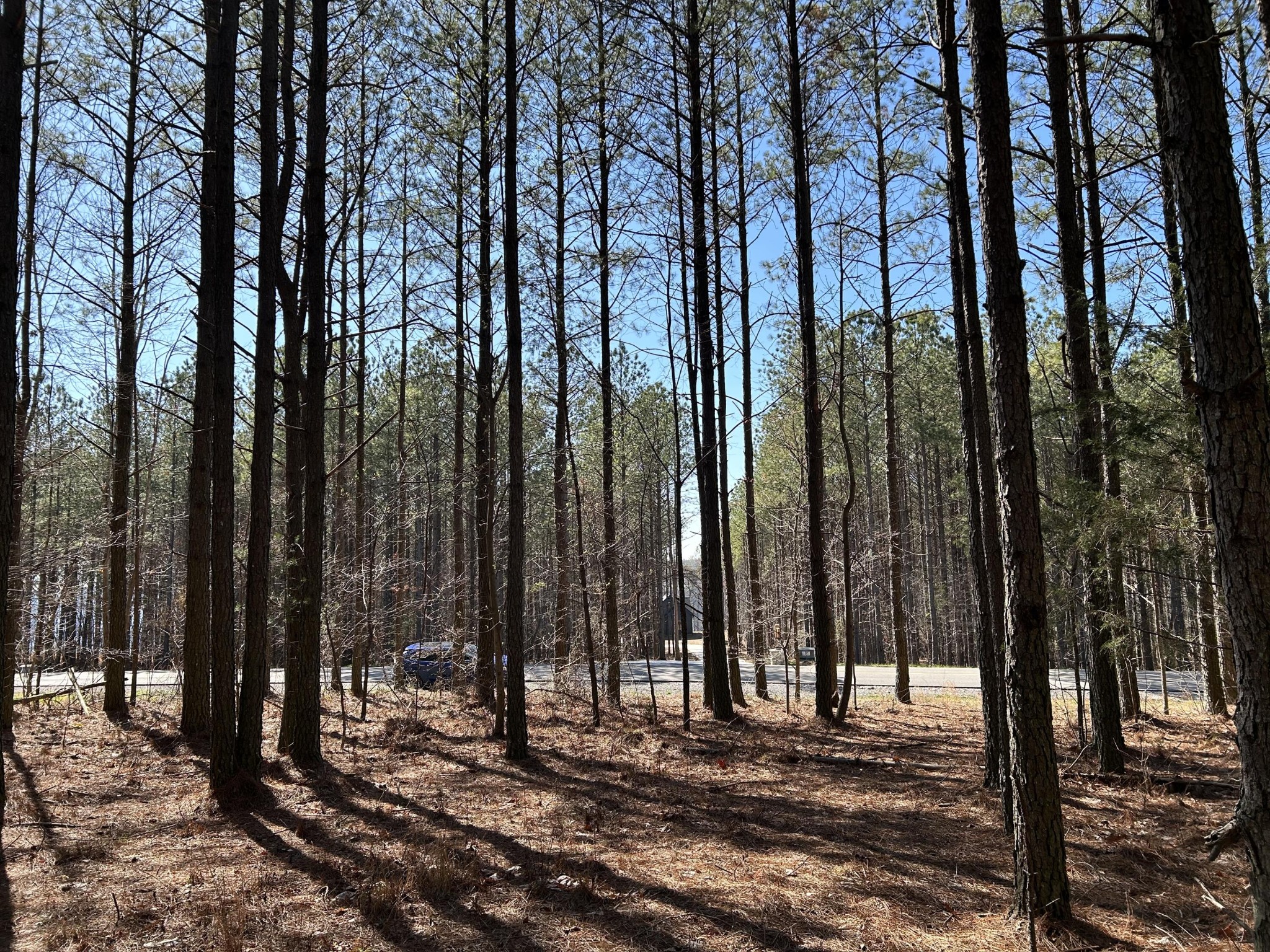 4210 Raulston Fls Road Property Photo 9