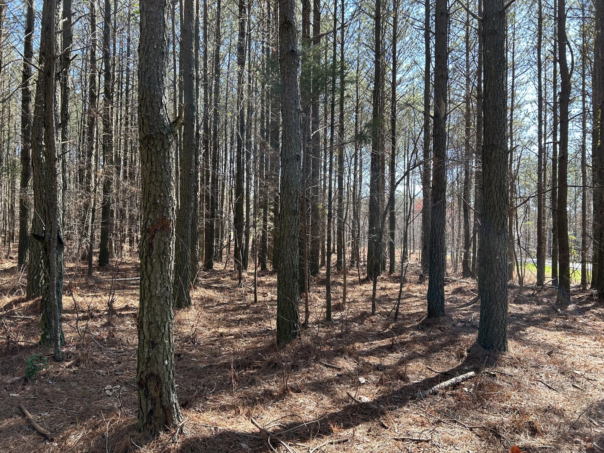 4210 Raulston Fls Road Property Photo 10