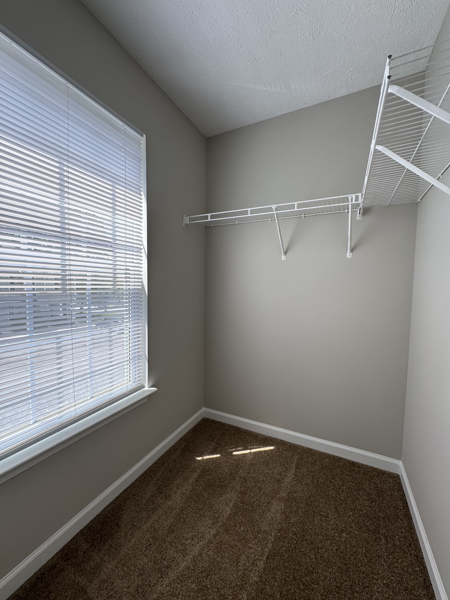 1306 Vermont Ct Property Photo 15