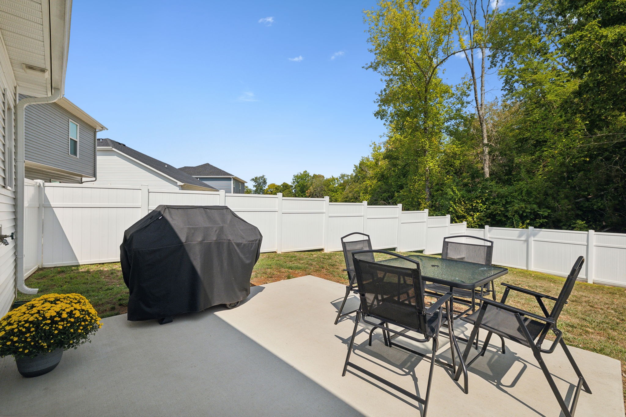 1195 Cottonwood Dr Property Photo 4