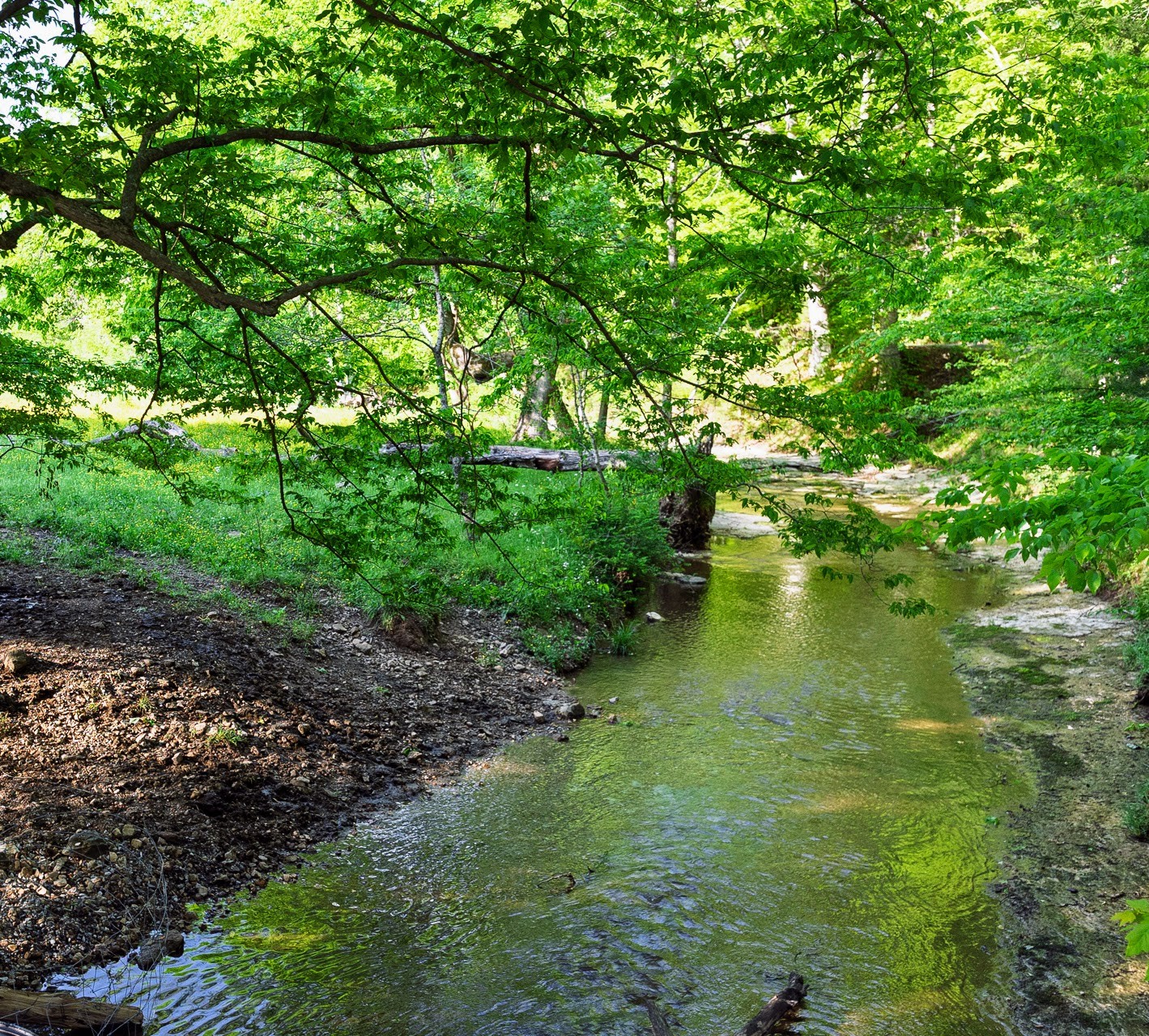 0 Salmon Branch, W Property Photo
