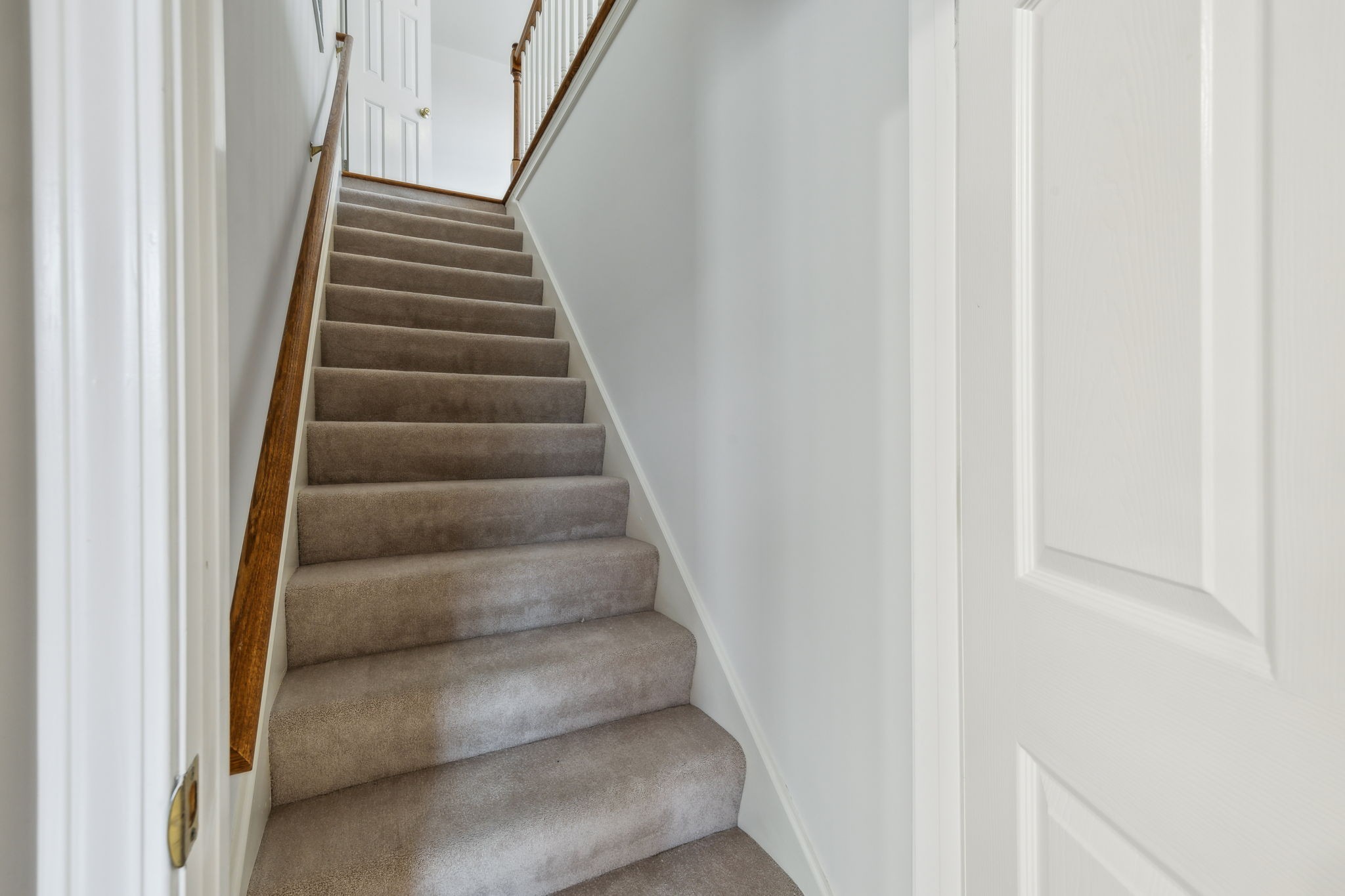 8508 Sawyer Brown Rd Property Photo 25