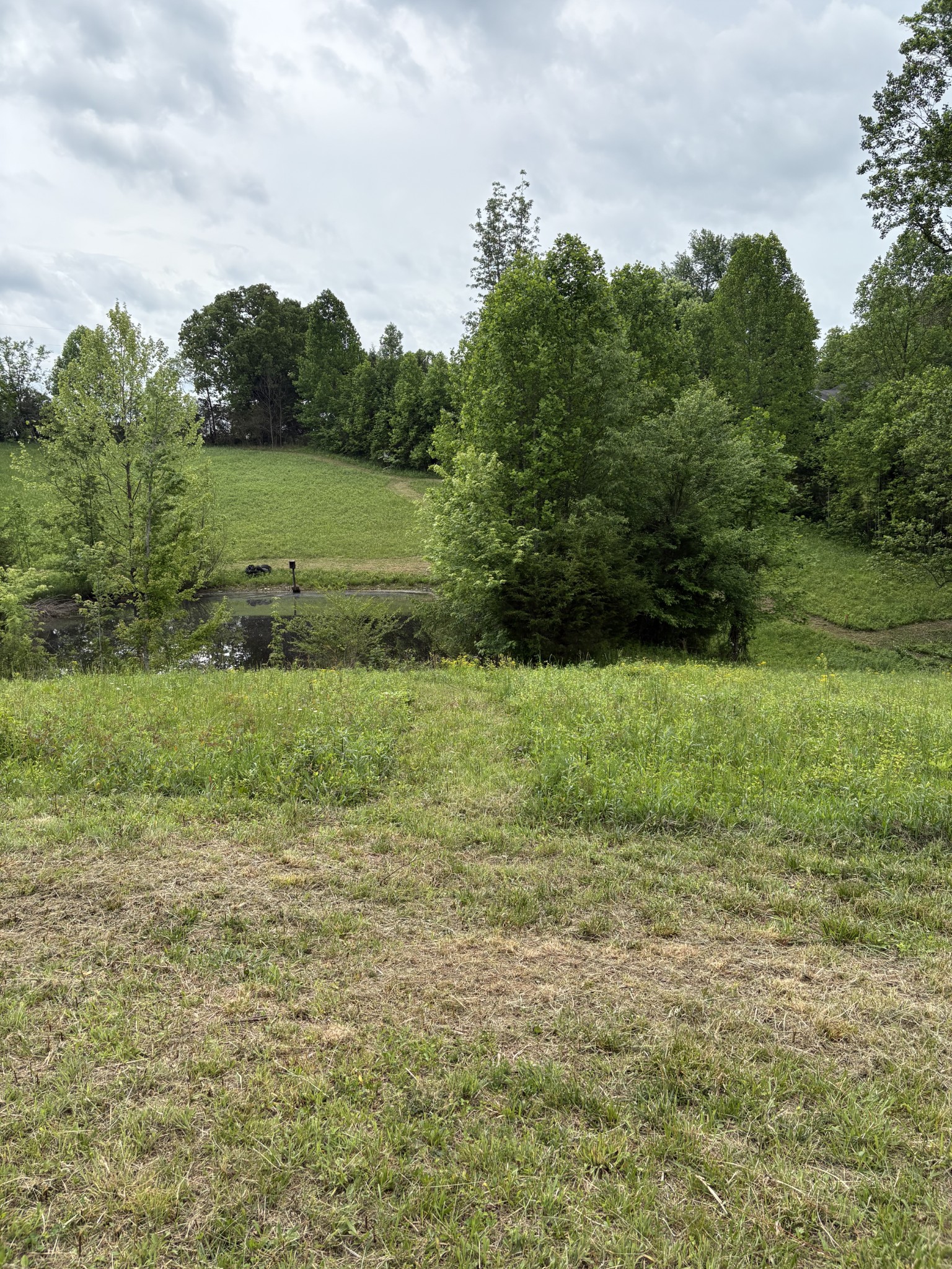 430 Delong Rd Property Photo 27