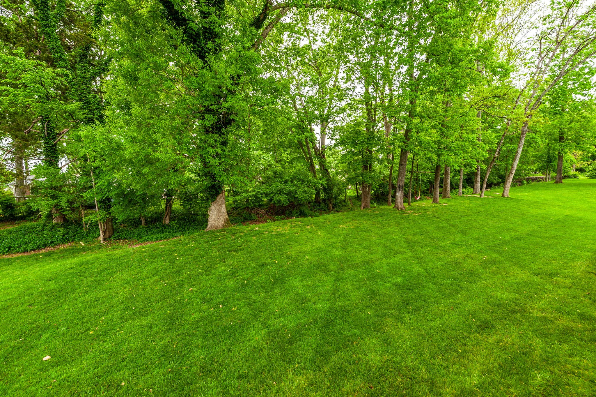 1092 Summerstar Cir Property Photo 55