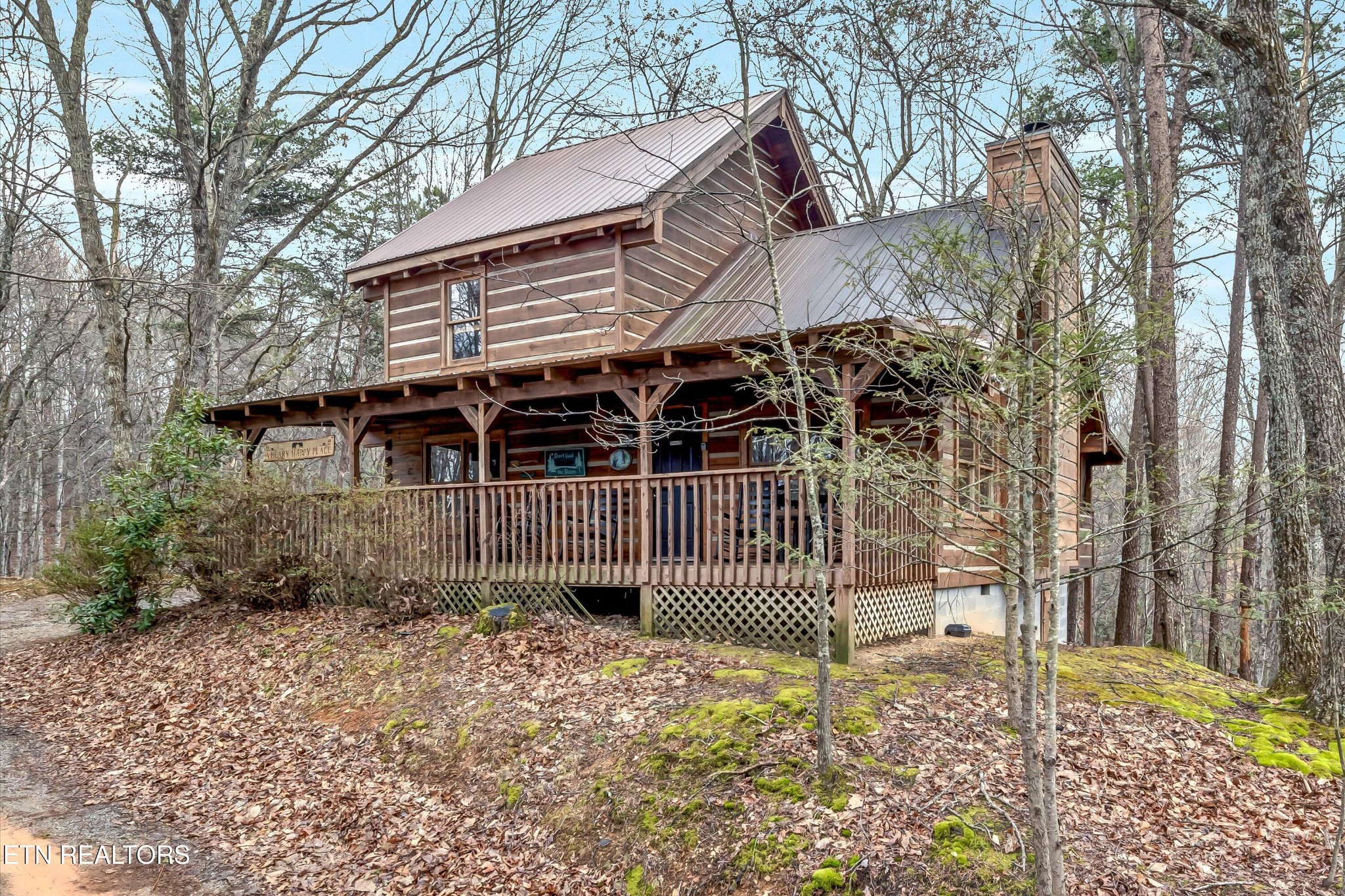 1141 Ski View Lane Property Photo 2