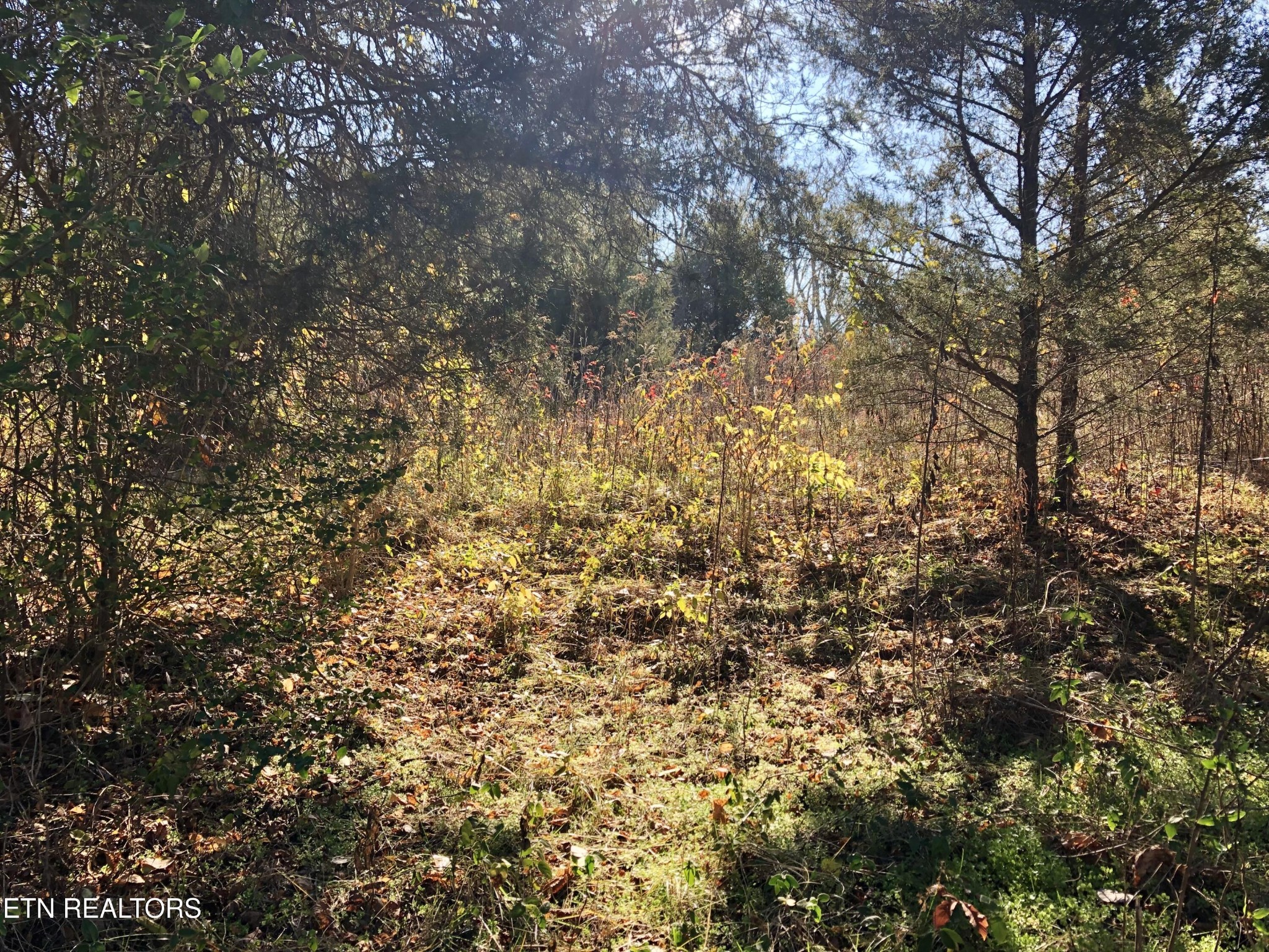 0 Thorn Grove Pike