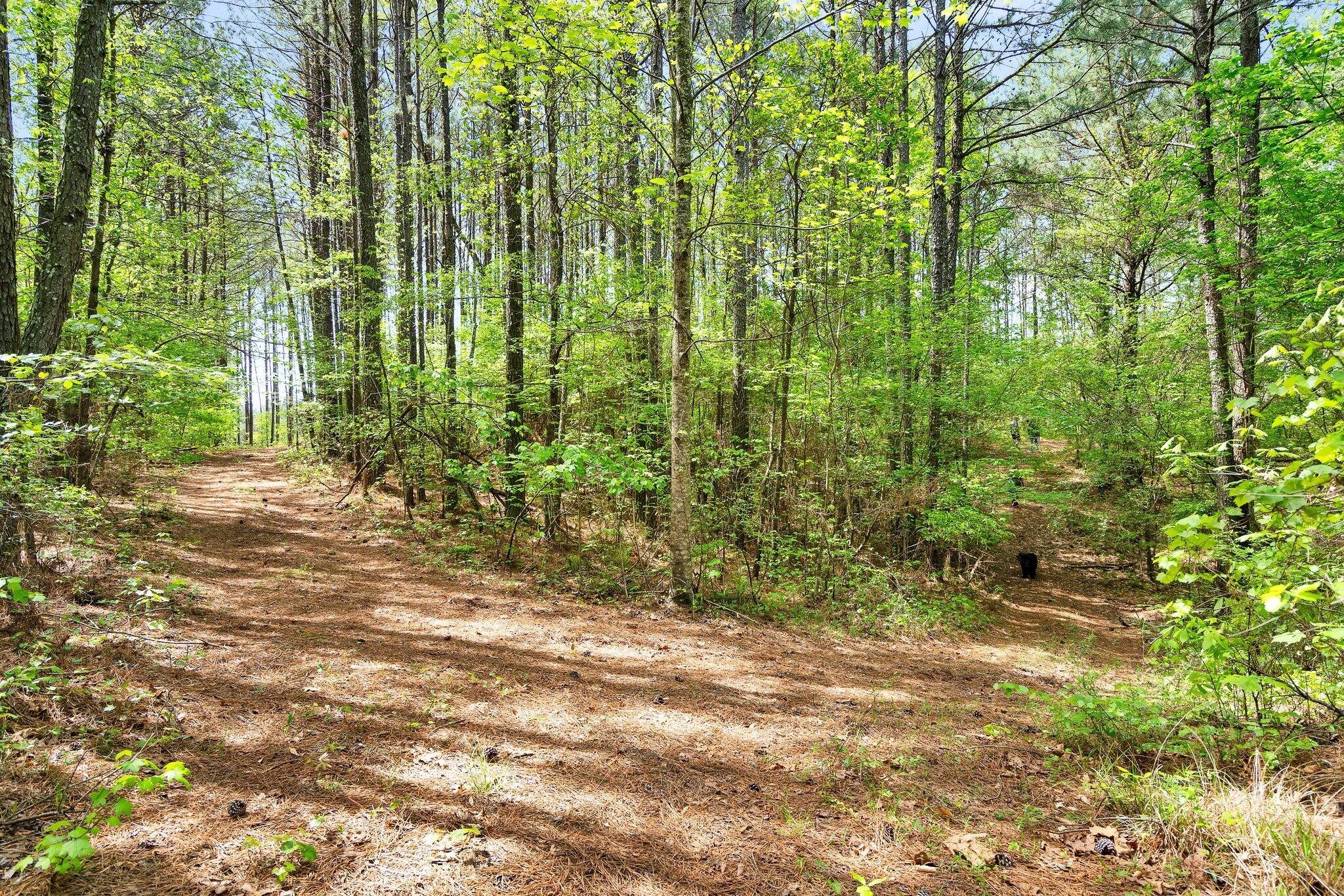 1699 Boyles Mill Road, Ne Property Photo 78