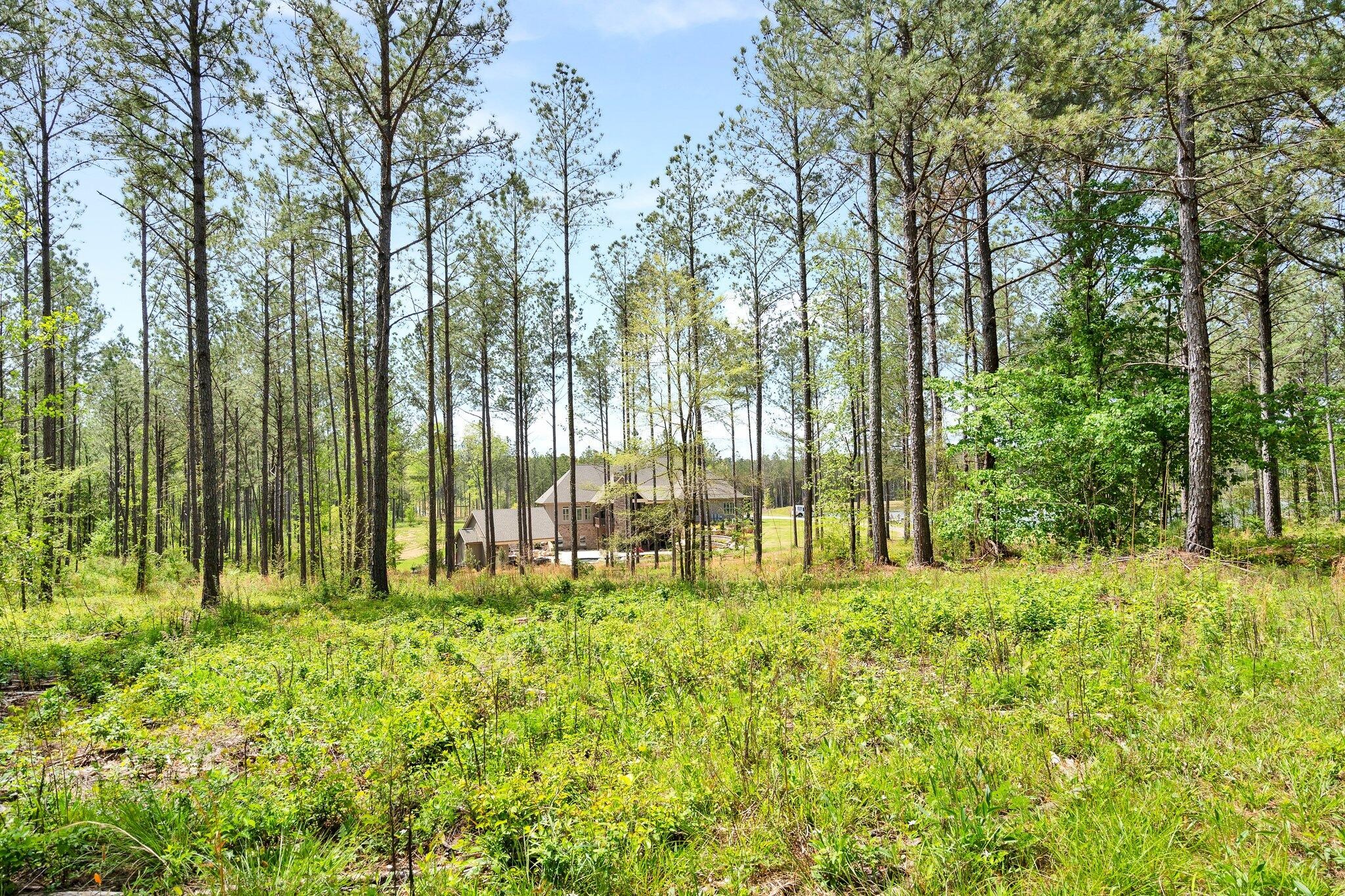 1699 Boyles Mill Road, Ne Property Photo 79