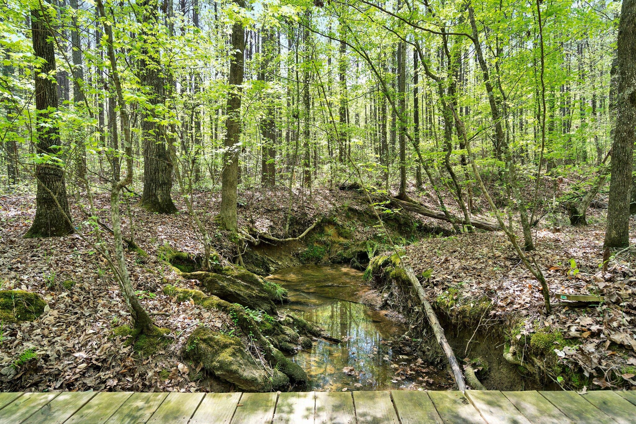 1699 Boyles Mill Road, Ne Property Photo 81