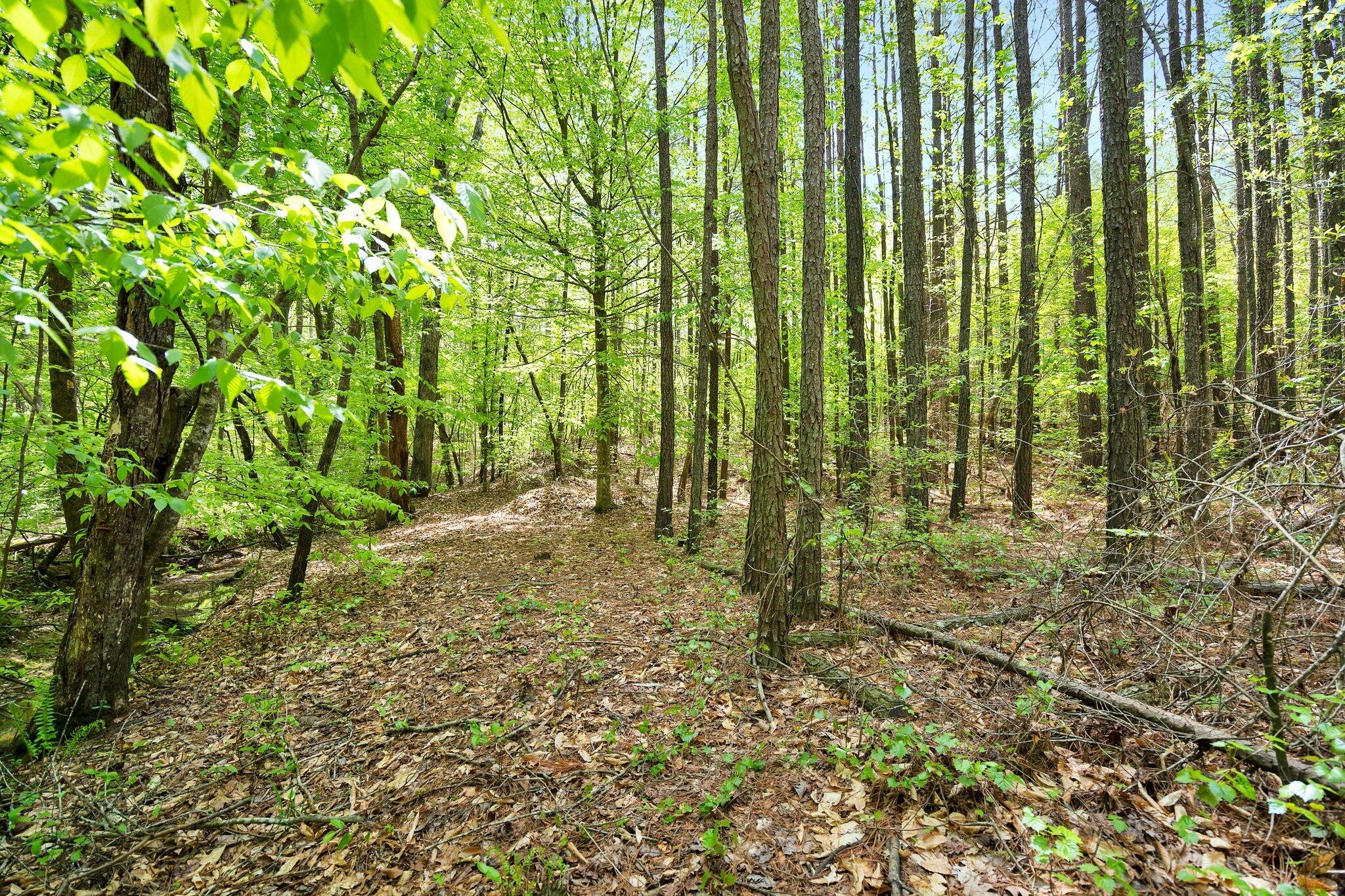 1699 Boyles Mill Road, Ne Property Photo 82