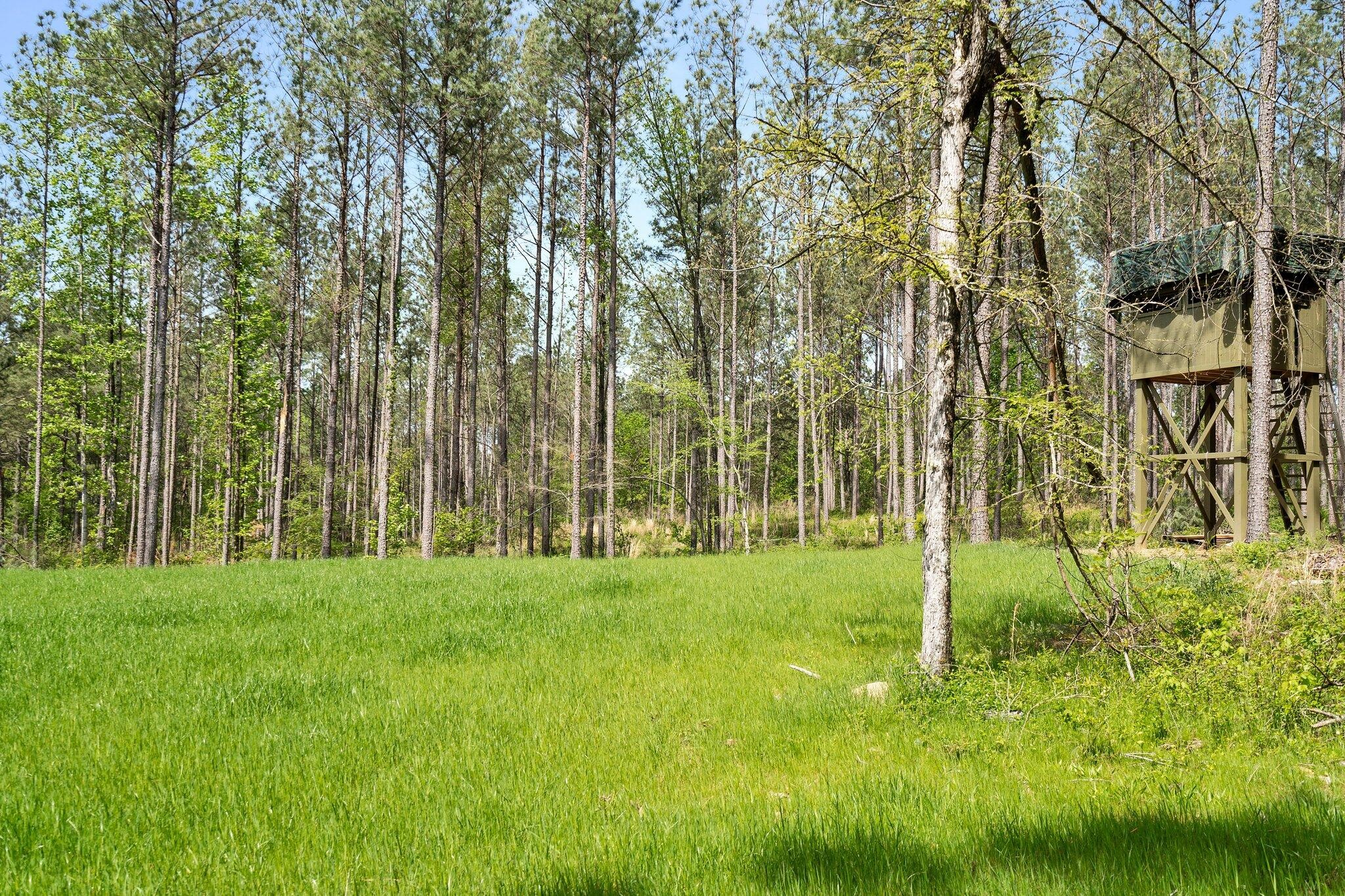 1699 Boyles Mill Road, Ne Property Photo 85