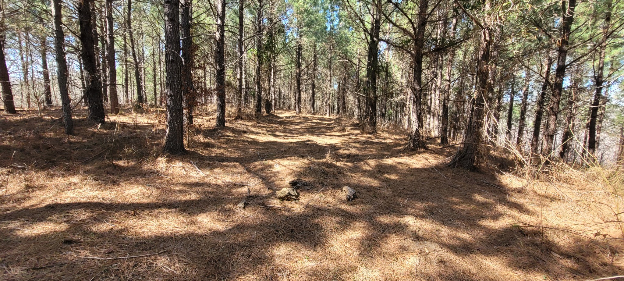 1 Saddleback Dr Property Photo 2
