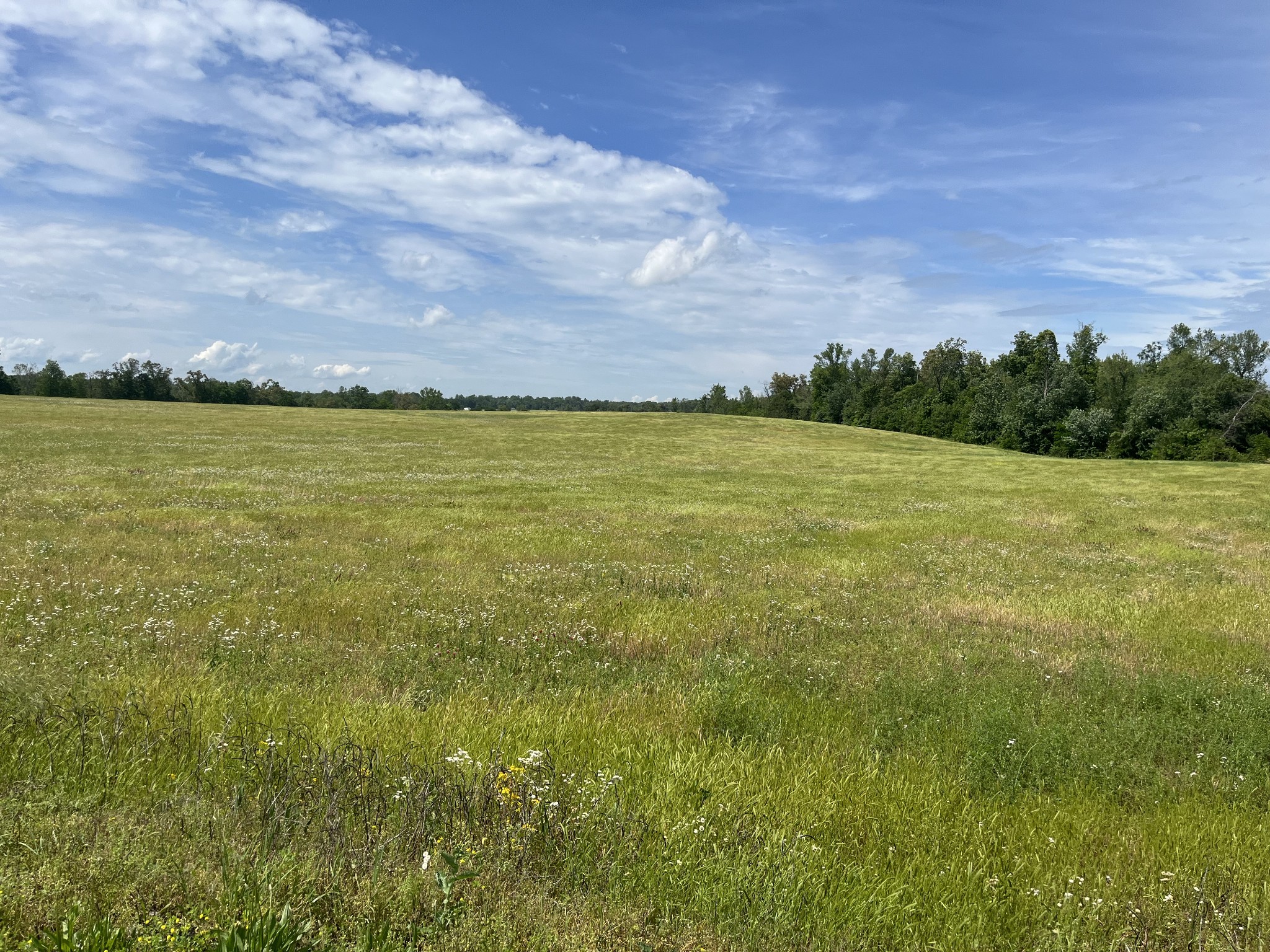 0 Jacksboro Trail Property Photo