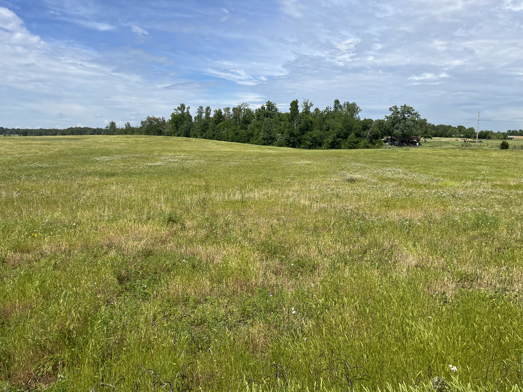 0 Jacksboro Trail Property Photo 2
