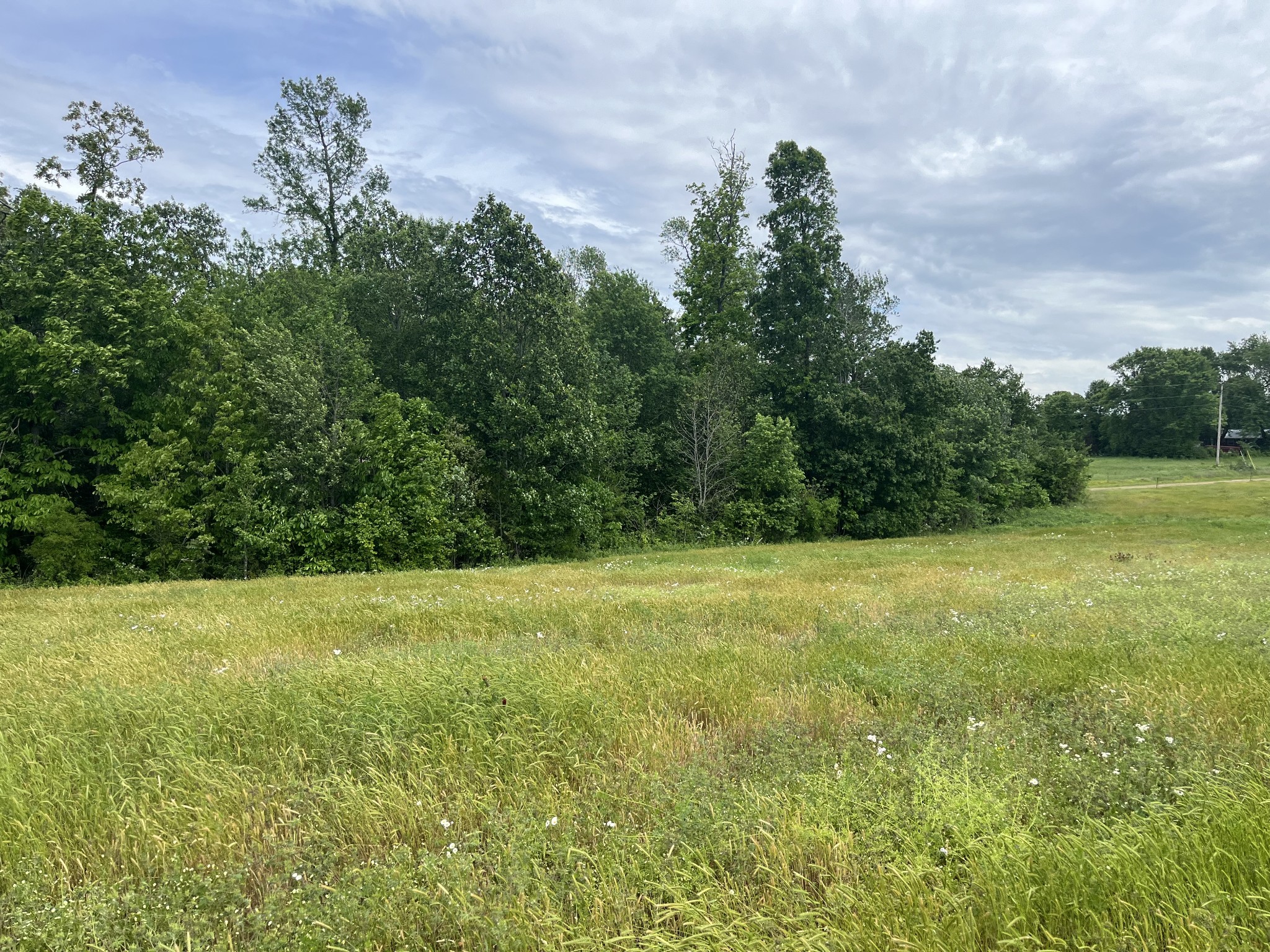 0 Jacksboro Trail Property Photo 3