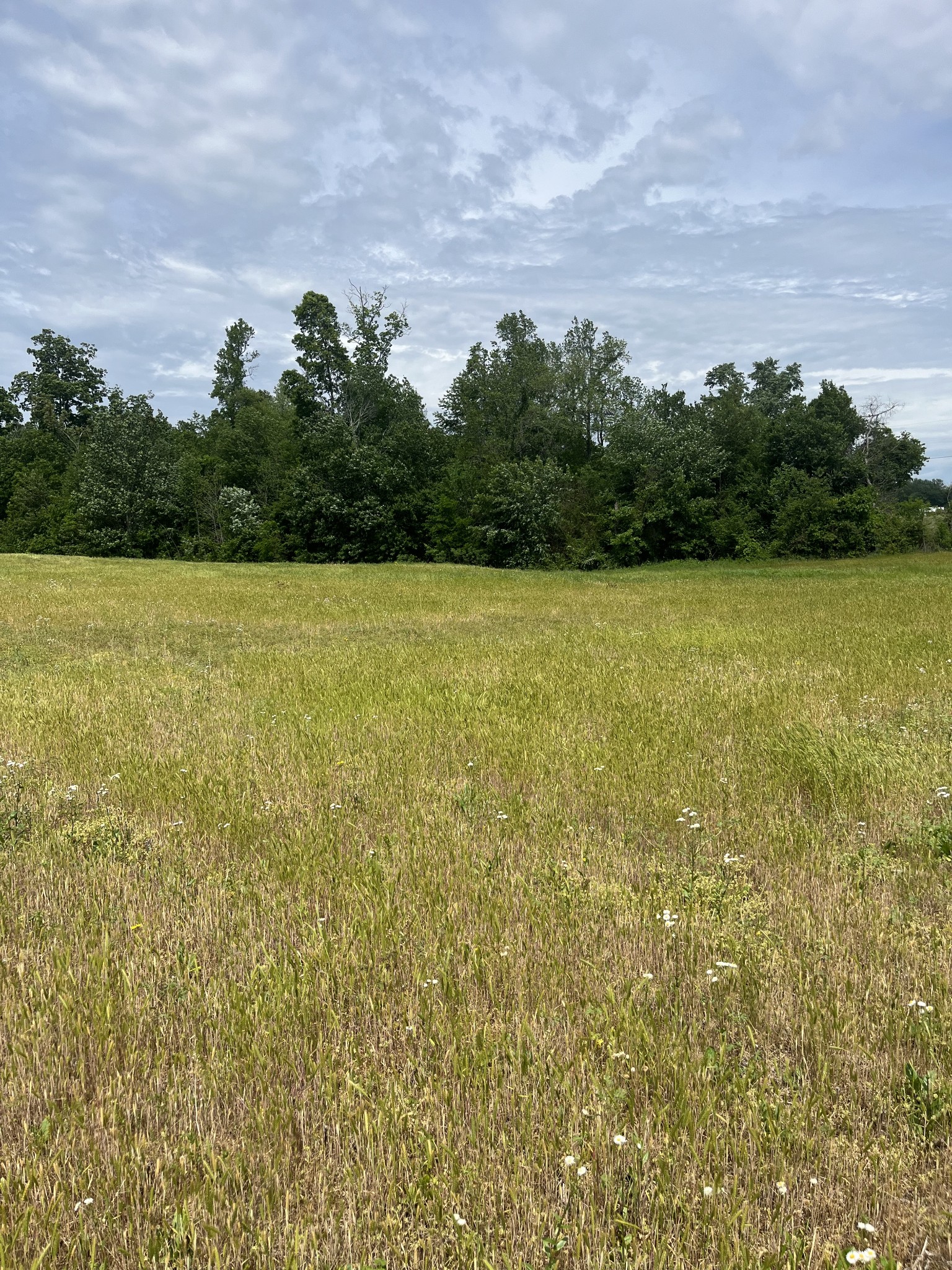 0 Jacksboro Trail Property Photo 5