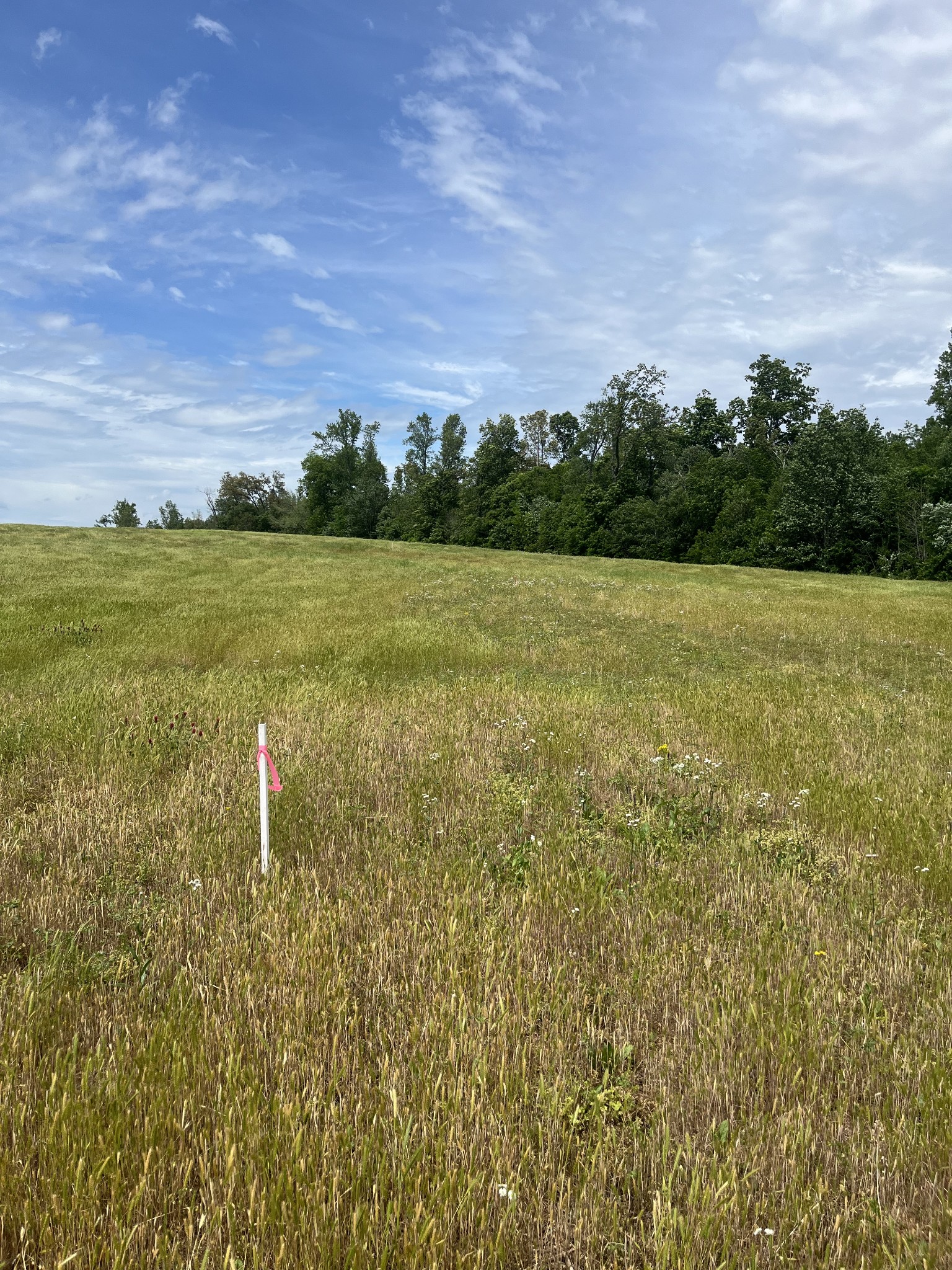 0 Jacksboro Trail Property Photo 6