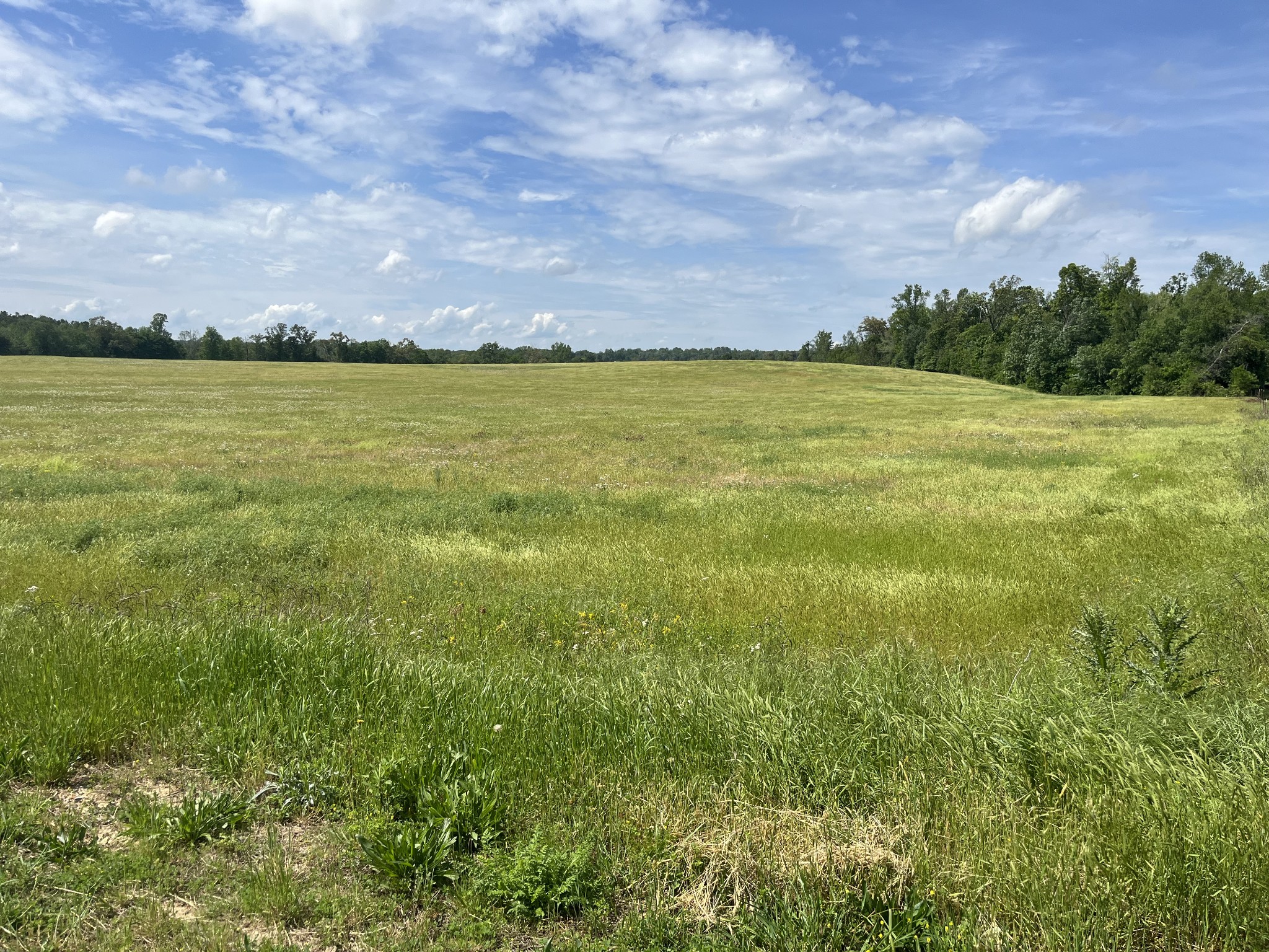 0 Jacksboro Trail Property Photo 7
