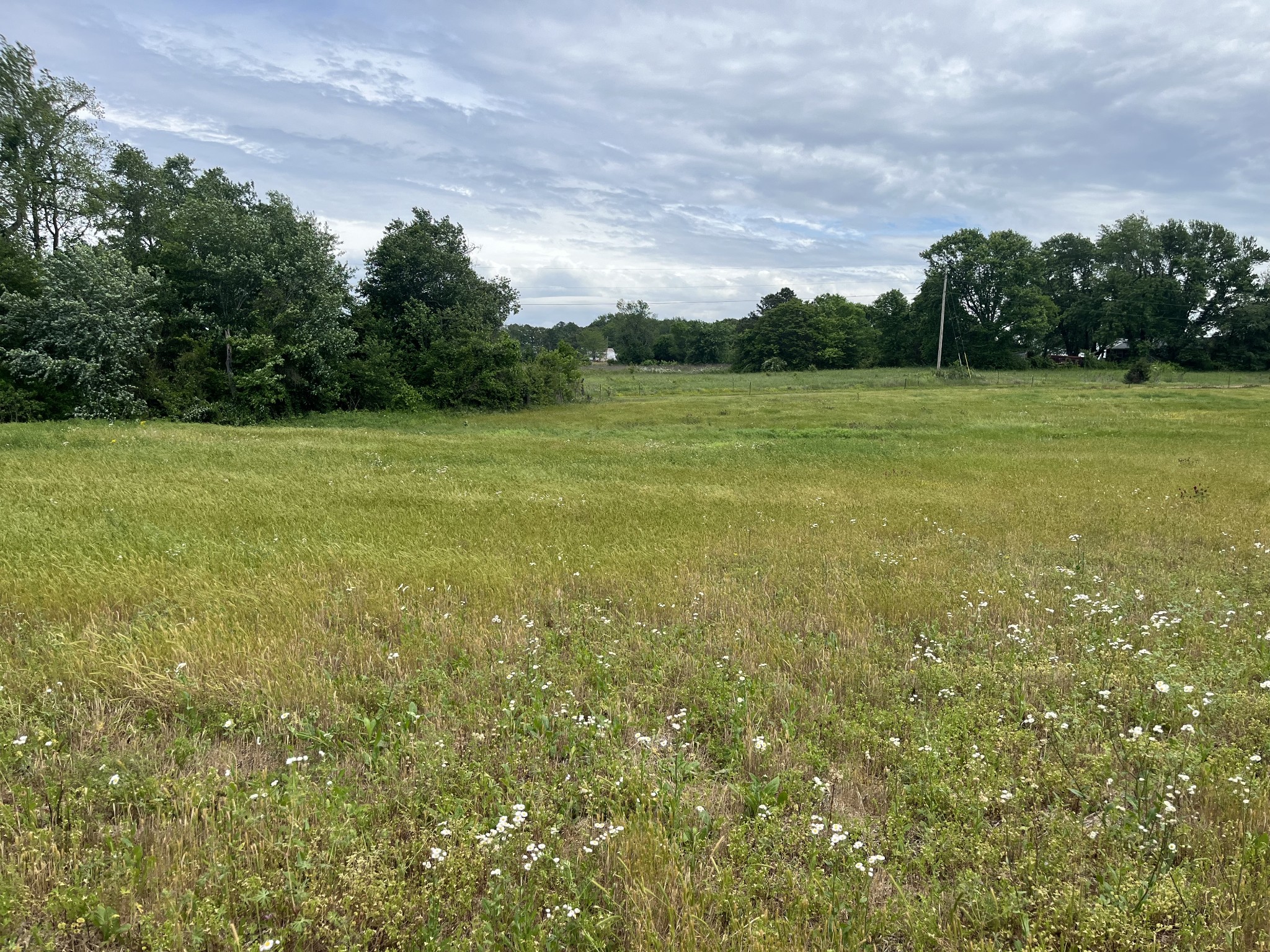 0 Jacksboro Trail Property Photo 8